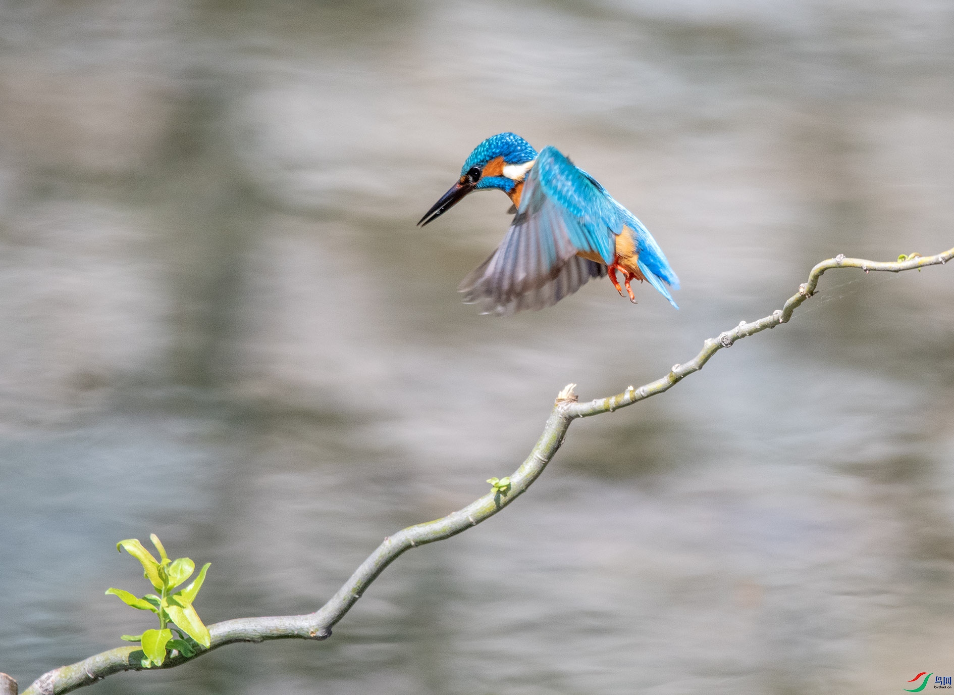 DSC_6743_��ͼ�� ����.jpg
