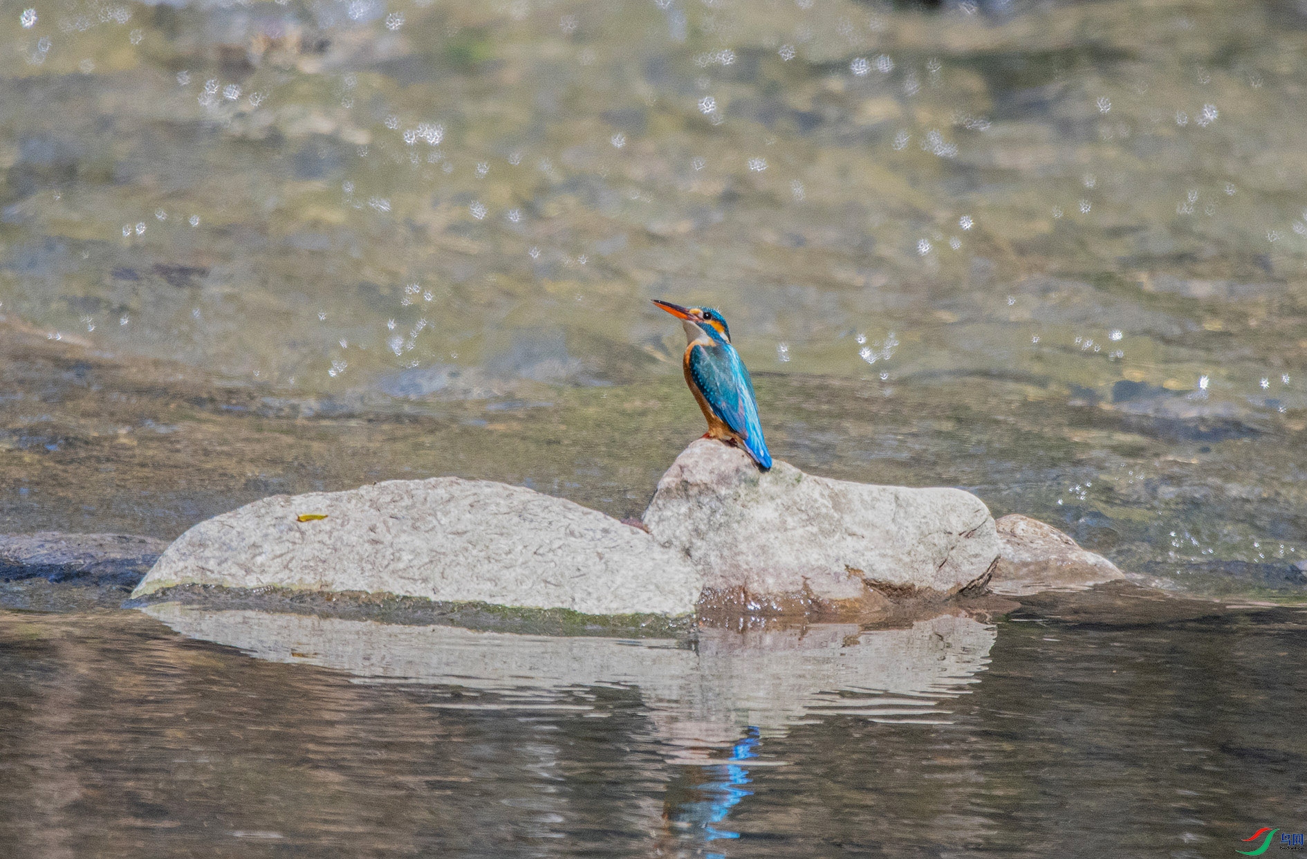 DSC_5003_��ͼ�� ����.jpg