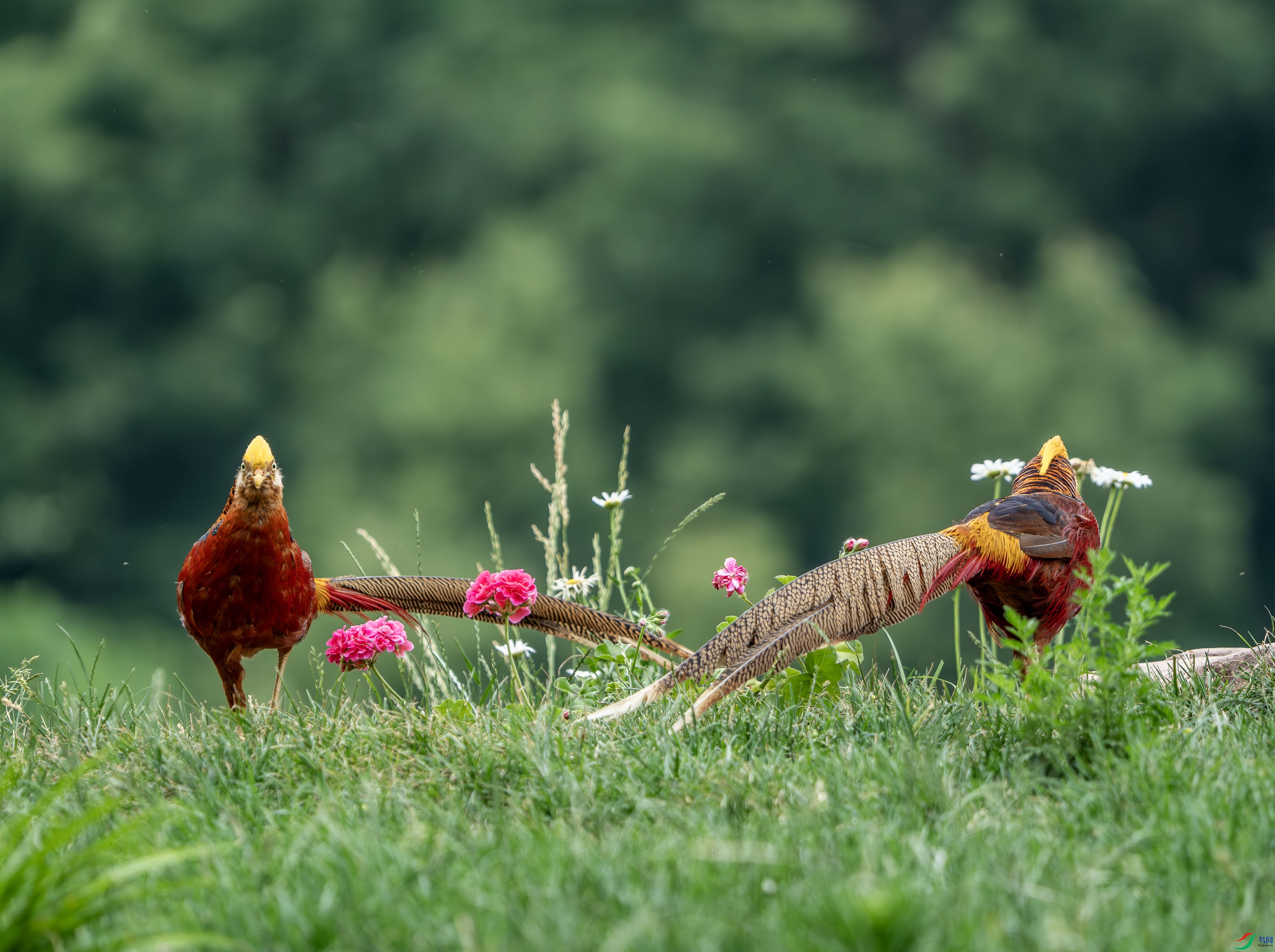 �츹����-18.jpg
