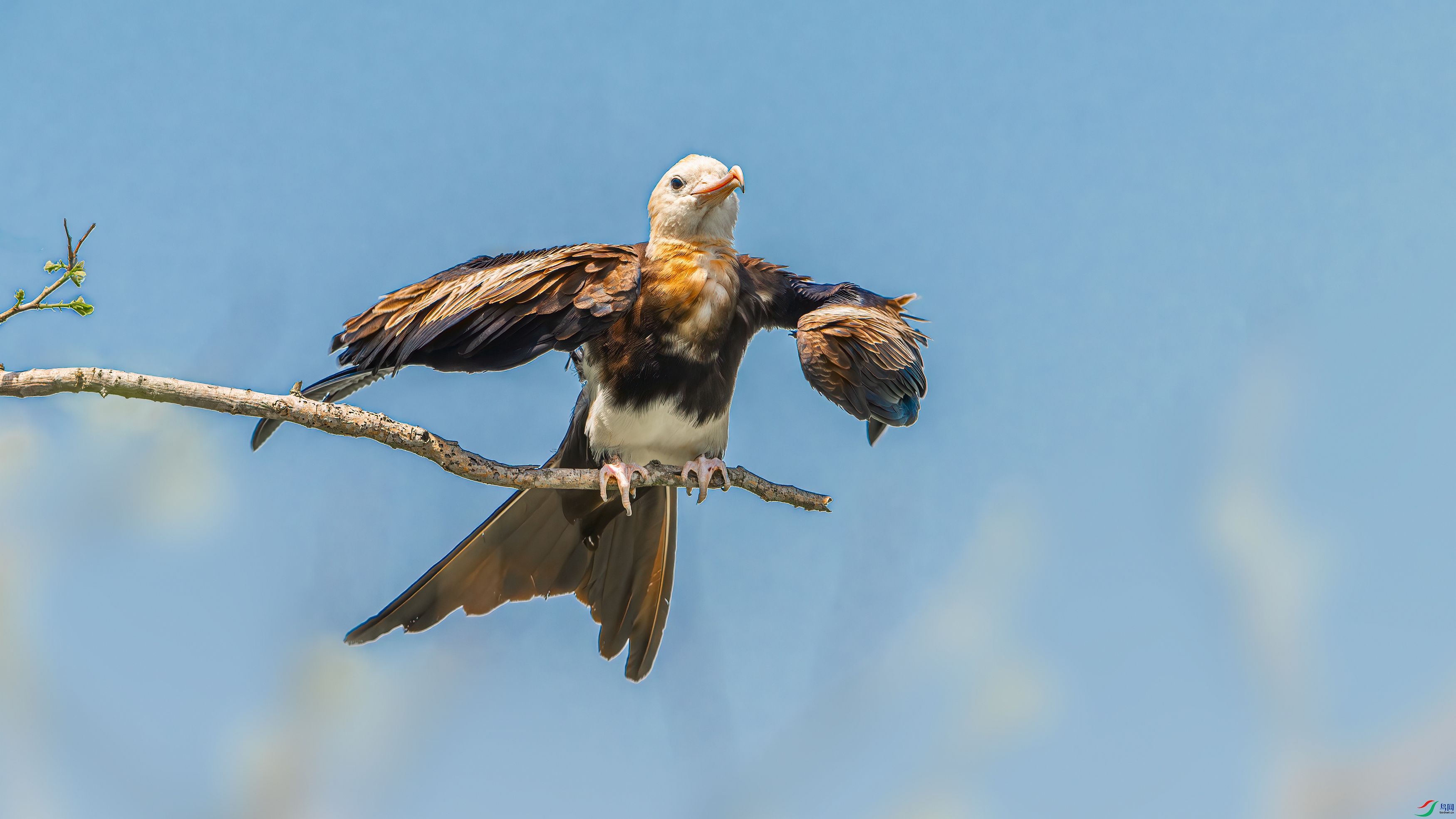 ��Ƭ_DSC1306-����ǿ-NR.jpg