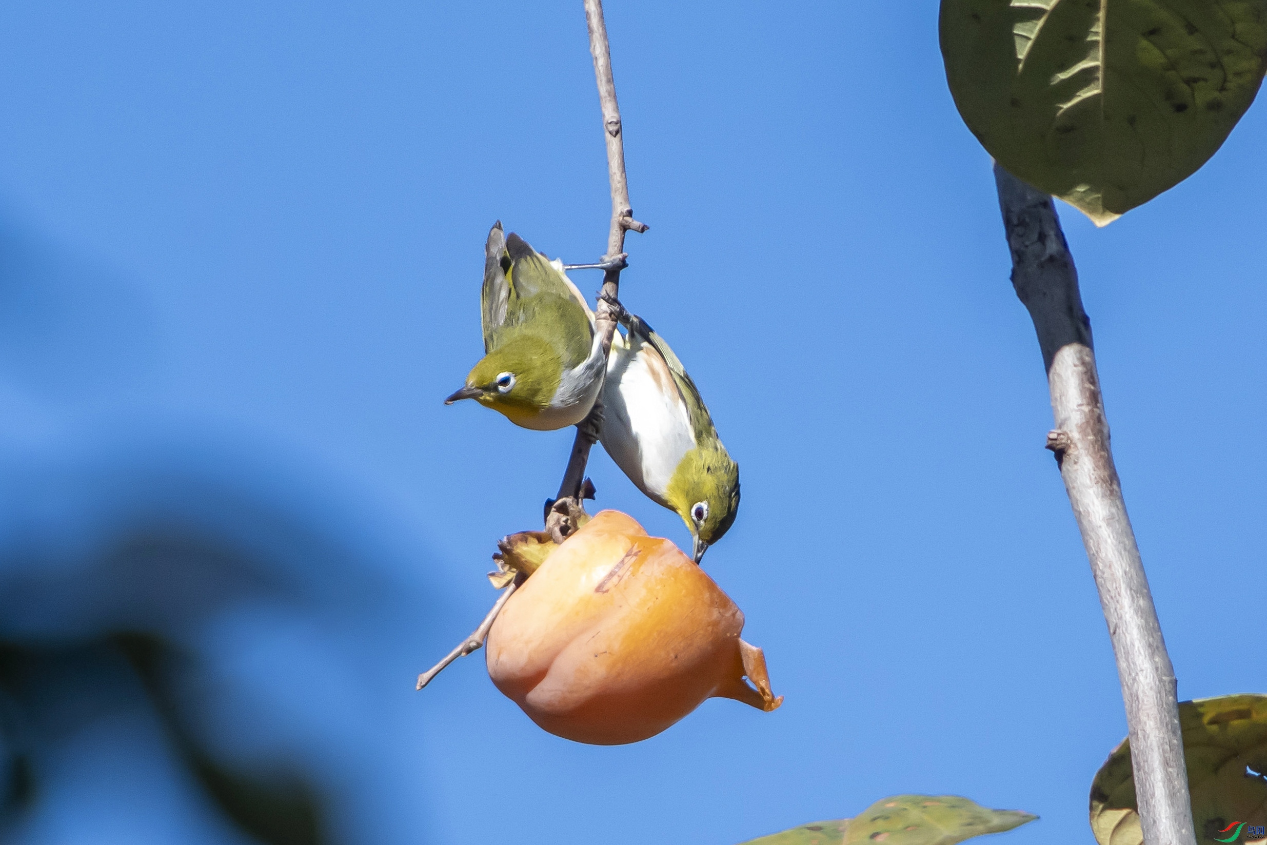 DSC_5859_1.jpg