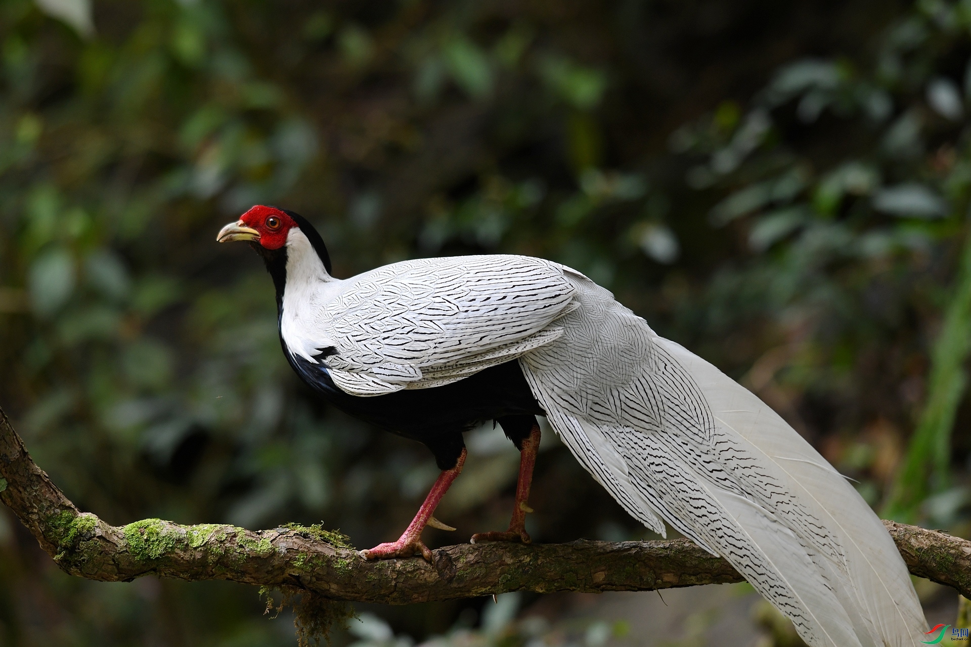 DSC_7252.jpg