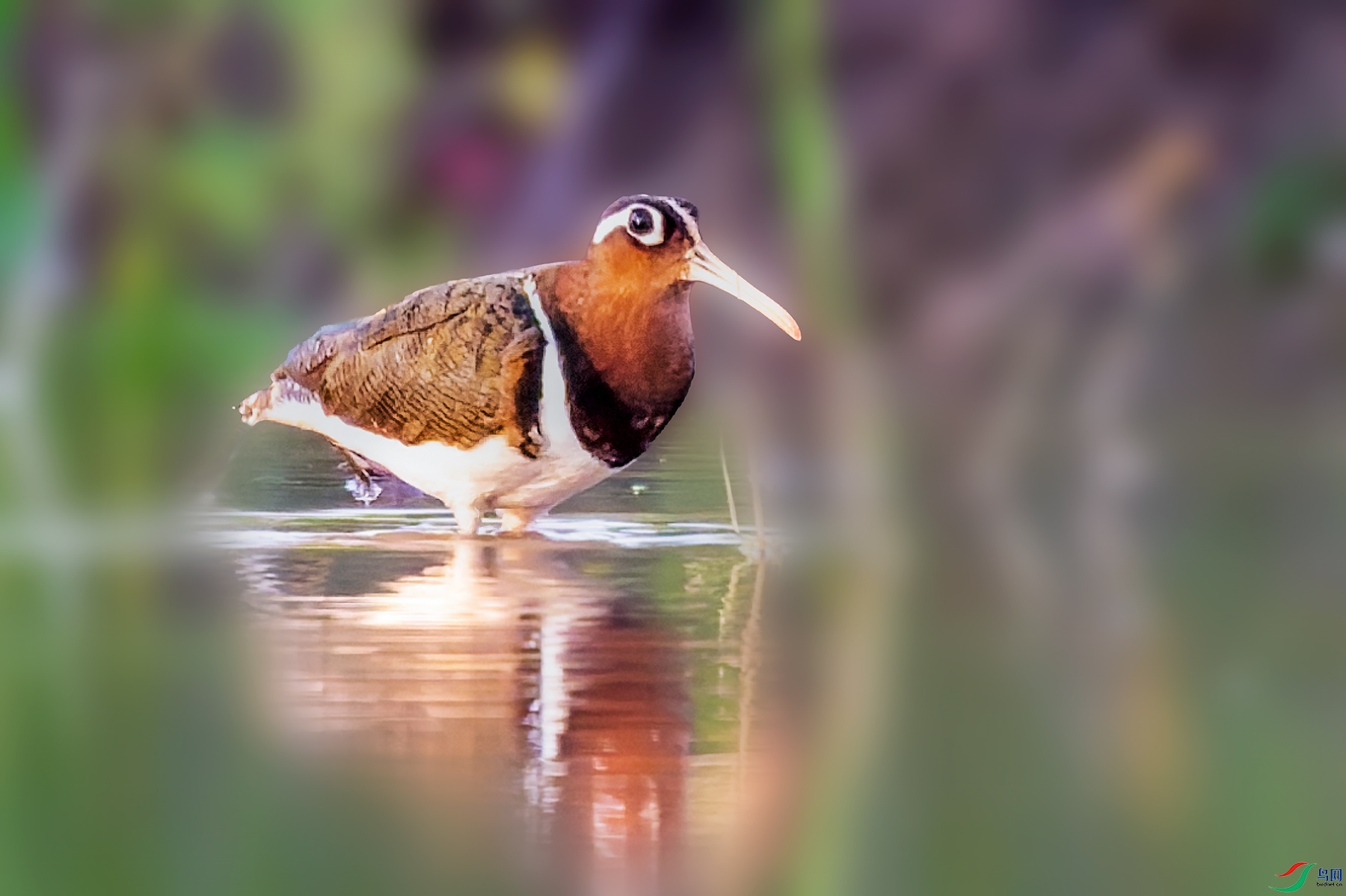 _DSC9118.jpg