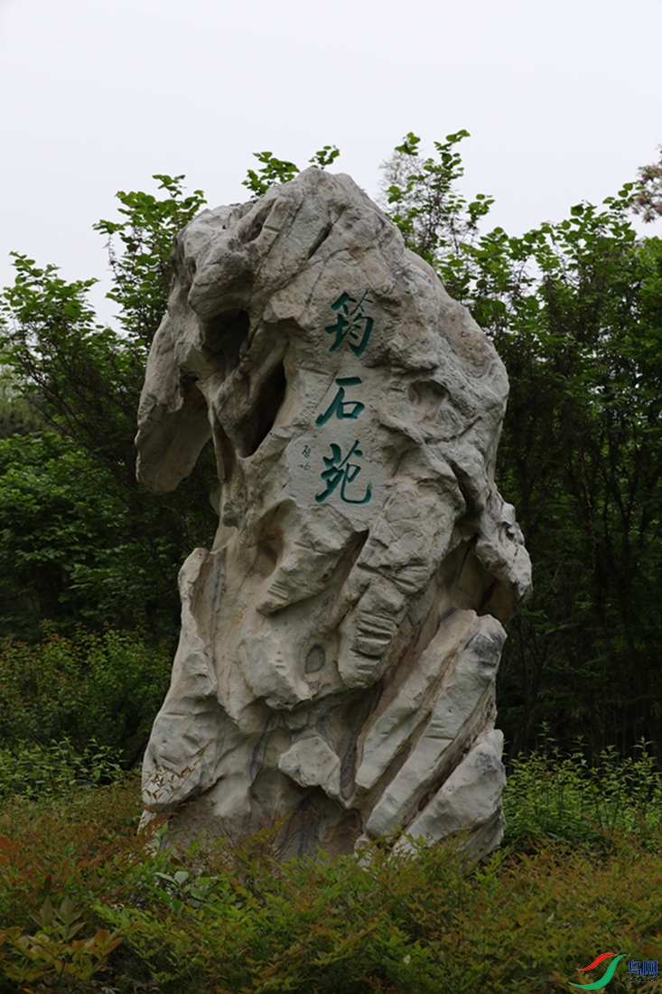 3X7A7778.JPG