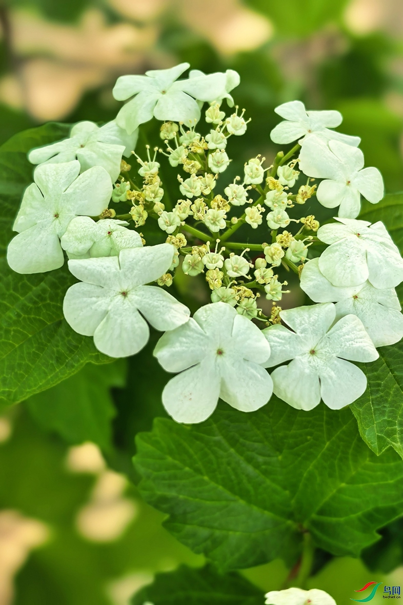 neoimaging_20260501084644.jpg