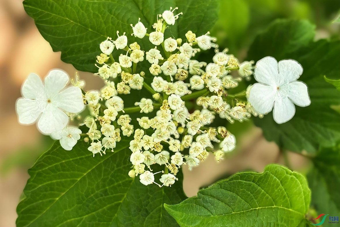 neoimaging_20260501084771.jpg
