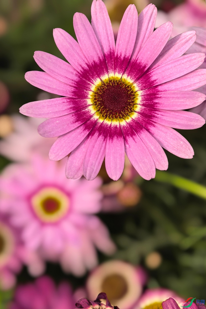 neoimaging_20260501150849.jpg