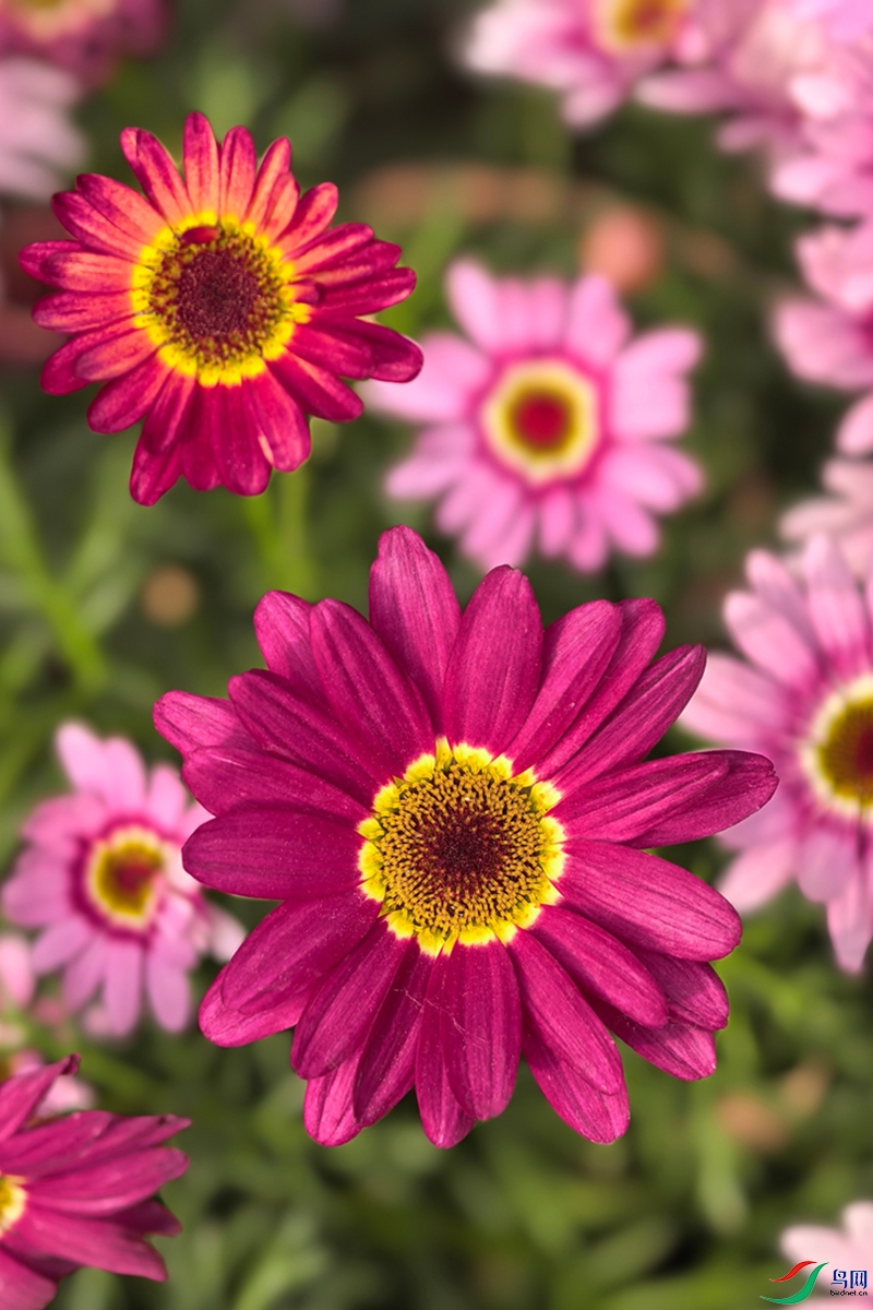 neoimaging_20260501150952.jpg