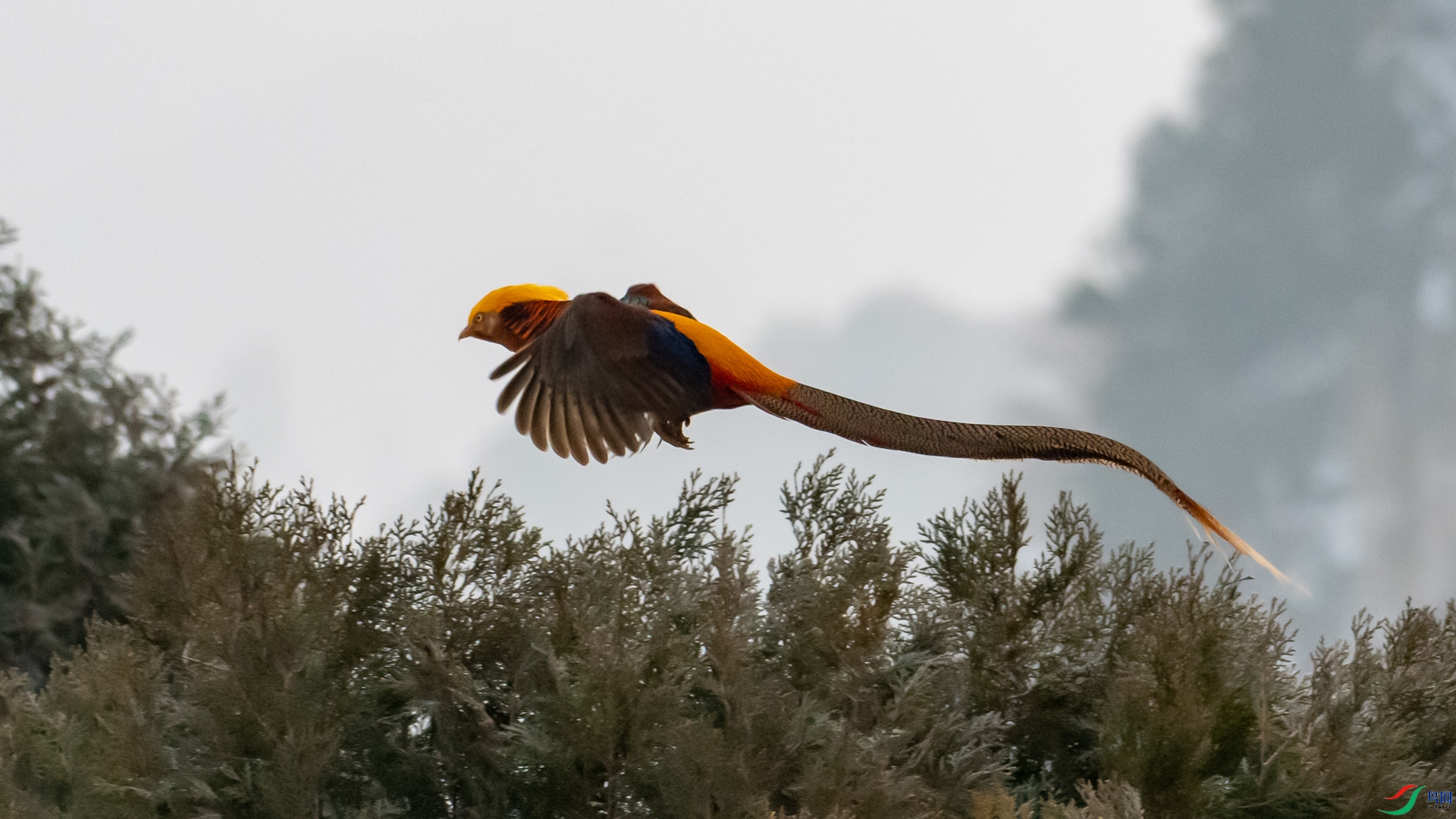 DSC_6246.jpg