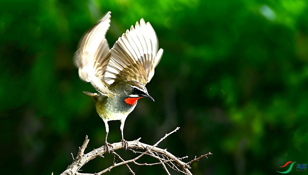 .IMG_20260505_132558.png