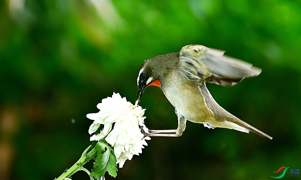 DSC_5951.JPG