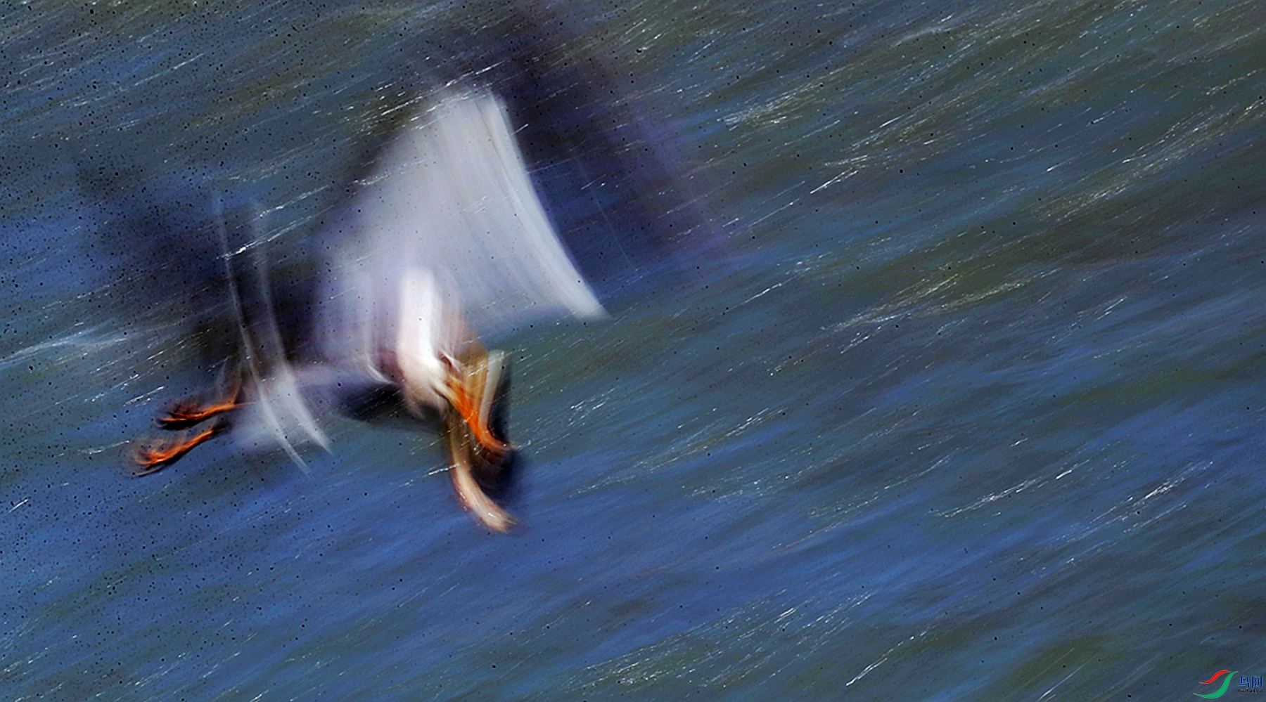 _E2I9580_����_����.jpg
