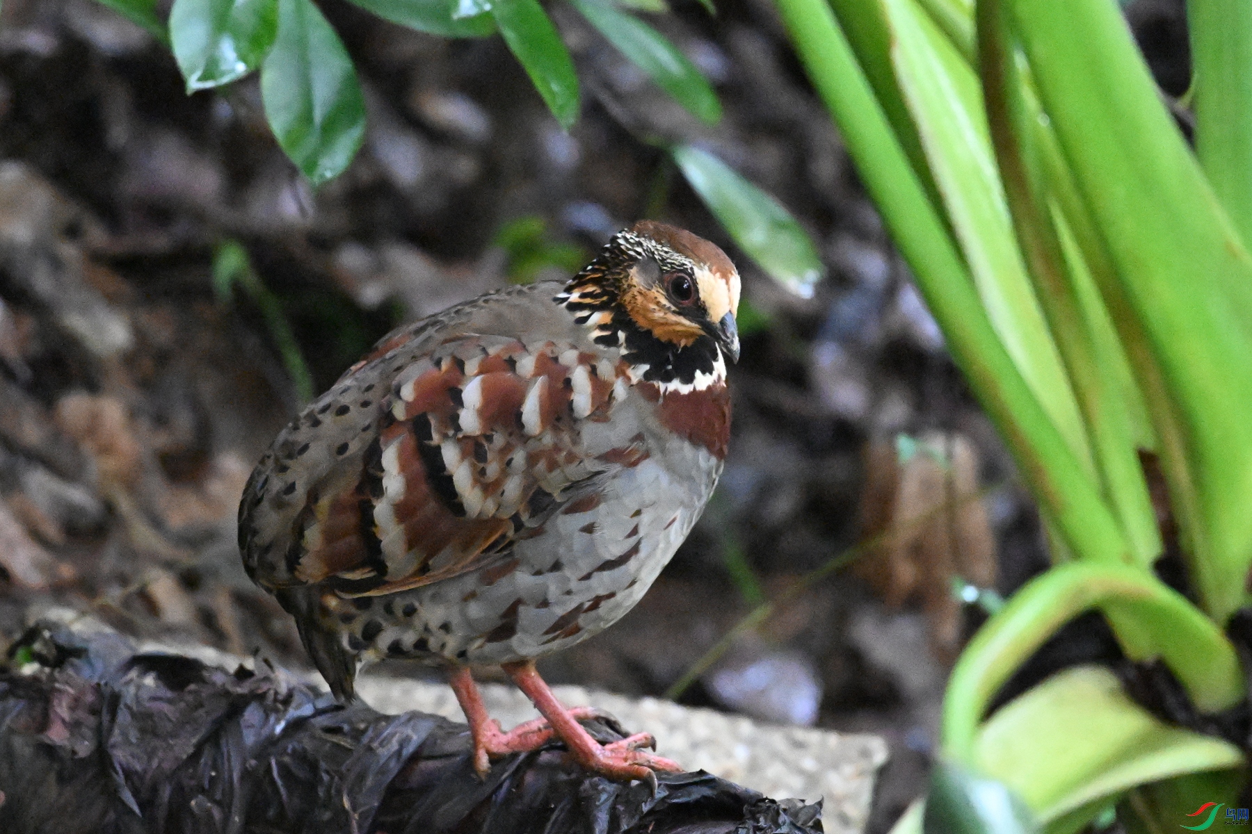 DSC_3573.JPG