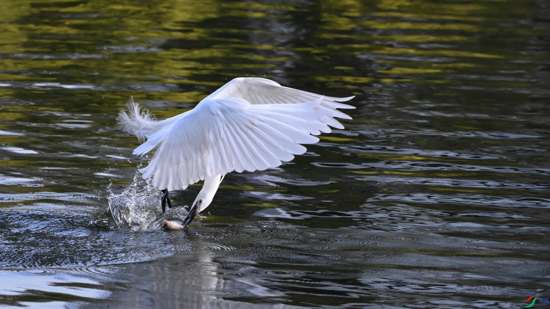 DSC_0130sen2025-2-8-100sen2025-2-9-4-�༭-2.jpg