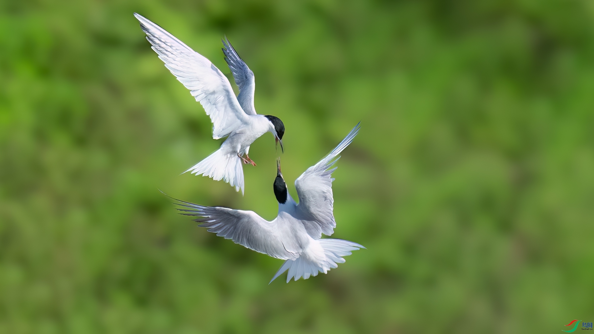 DSC_6444sen2026-5-3-40-�༭.jpg