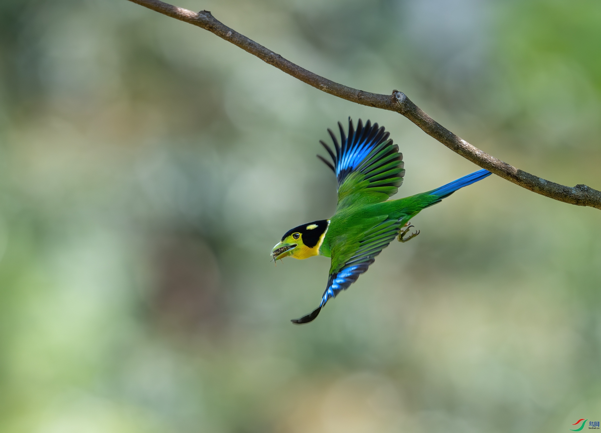 DSC_5083.jpg