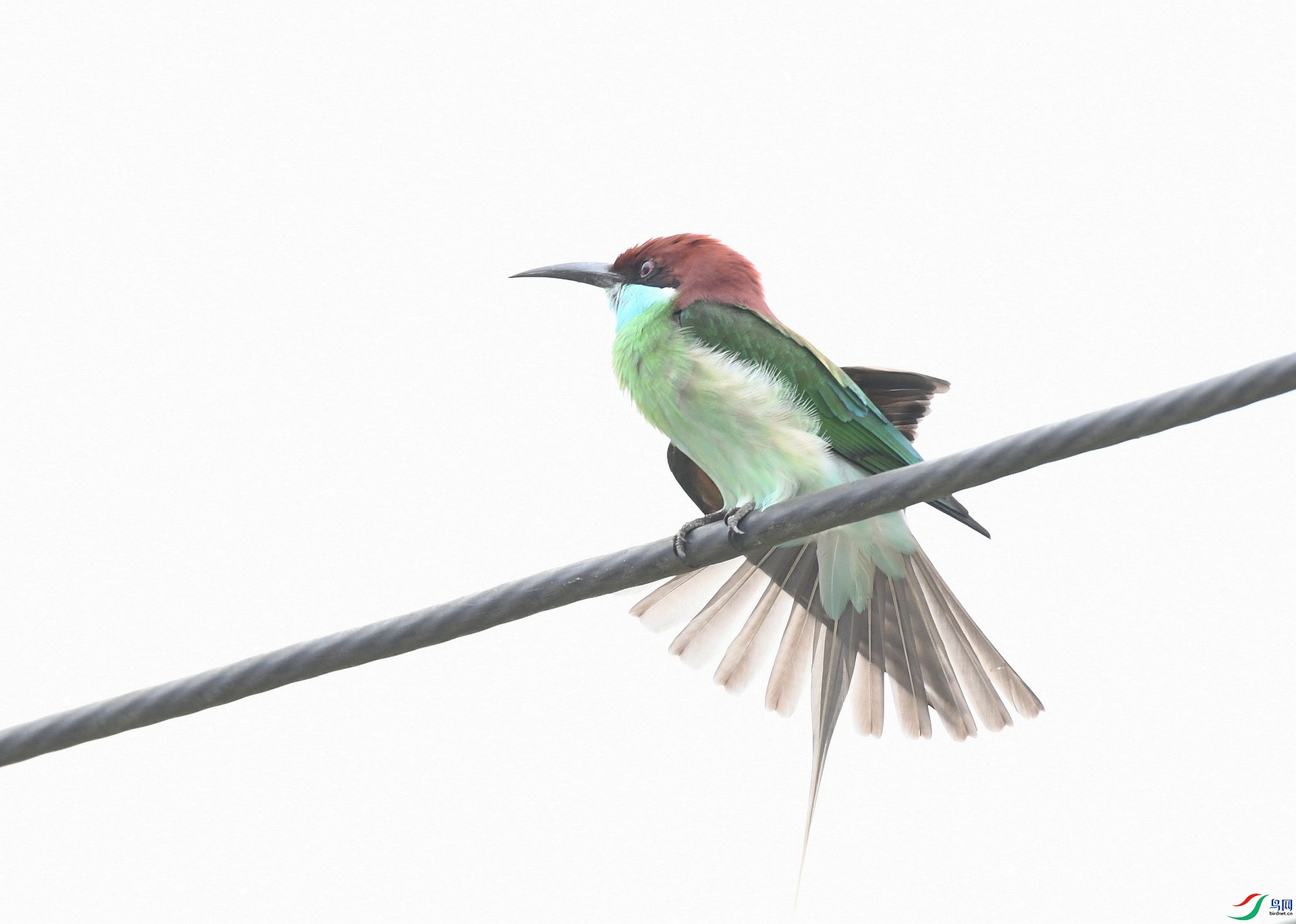 DSC_7958.jpg