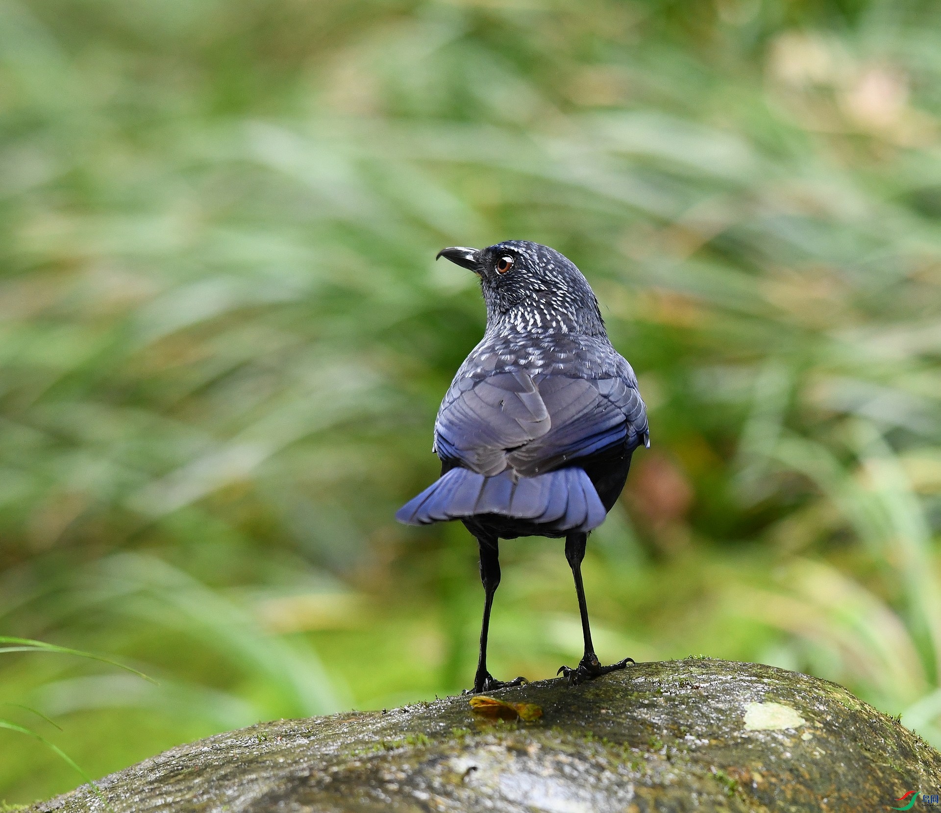DSC_7874.jpg