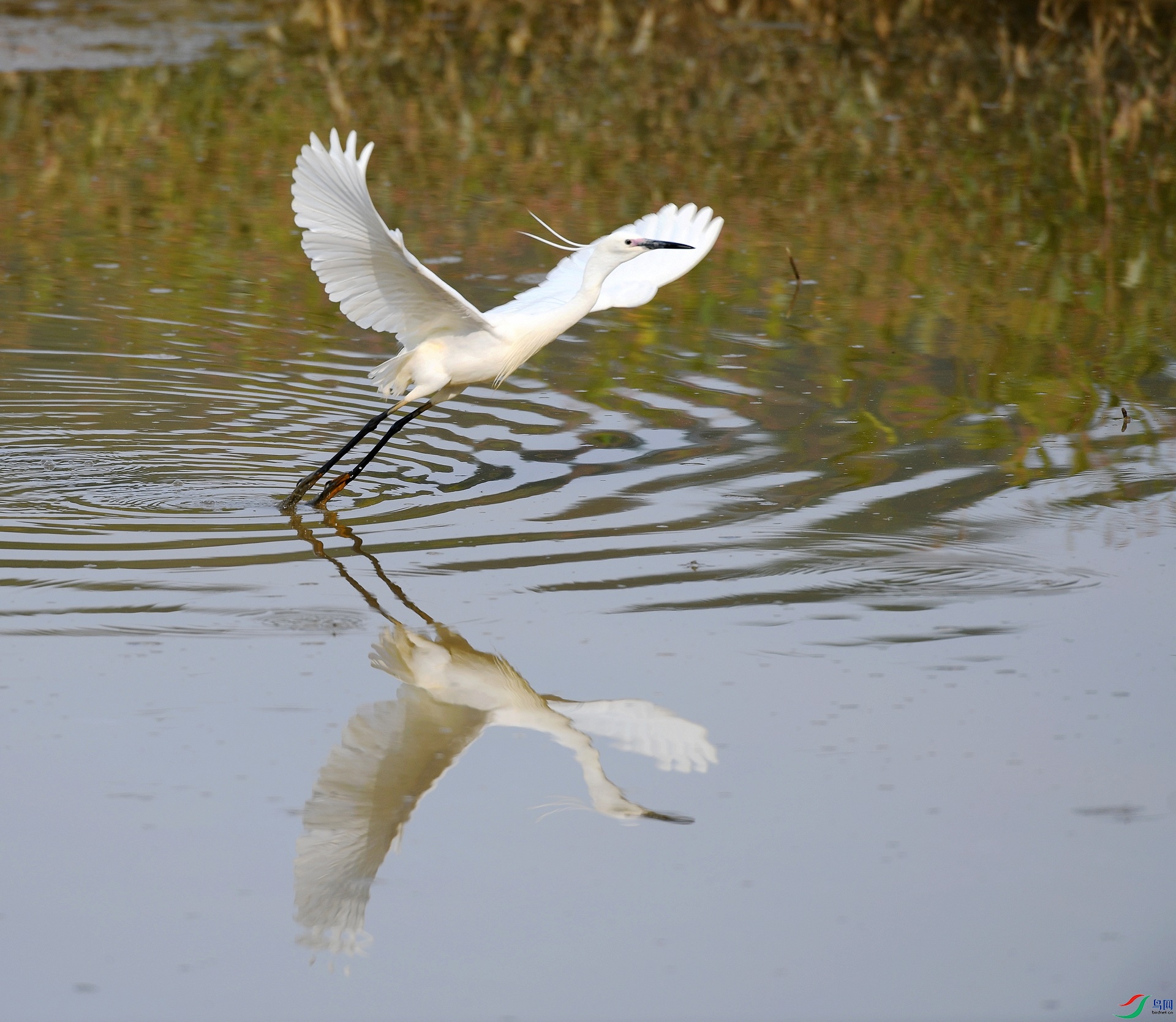 DSC_8289.jpg