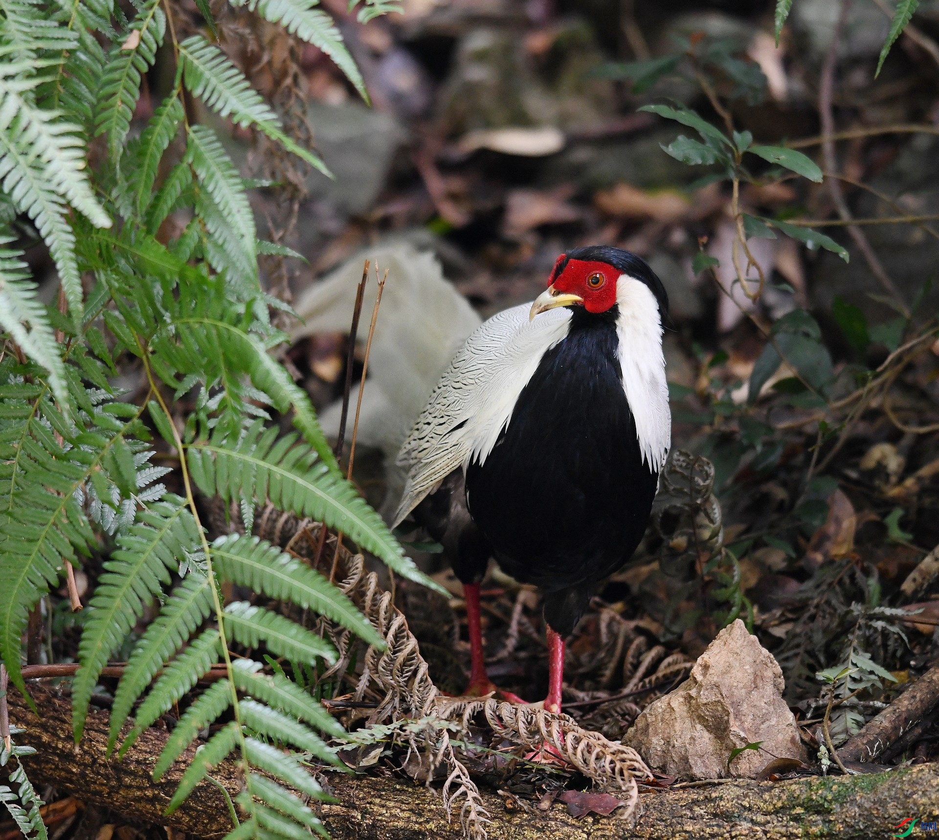 DSC_7368.jpg