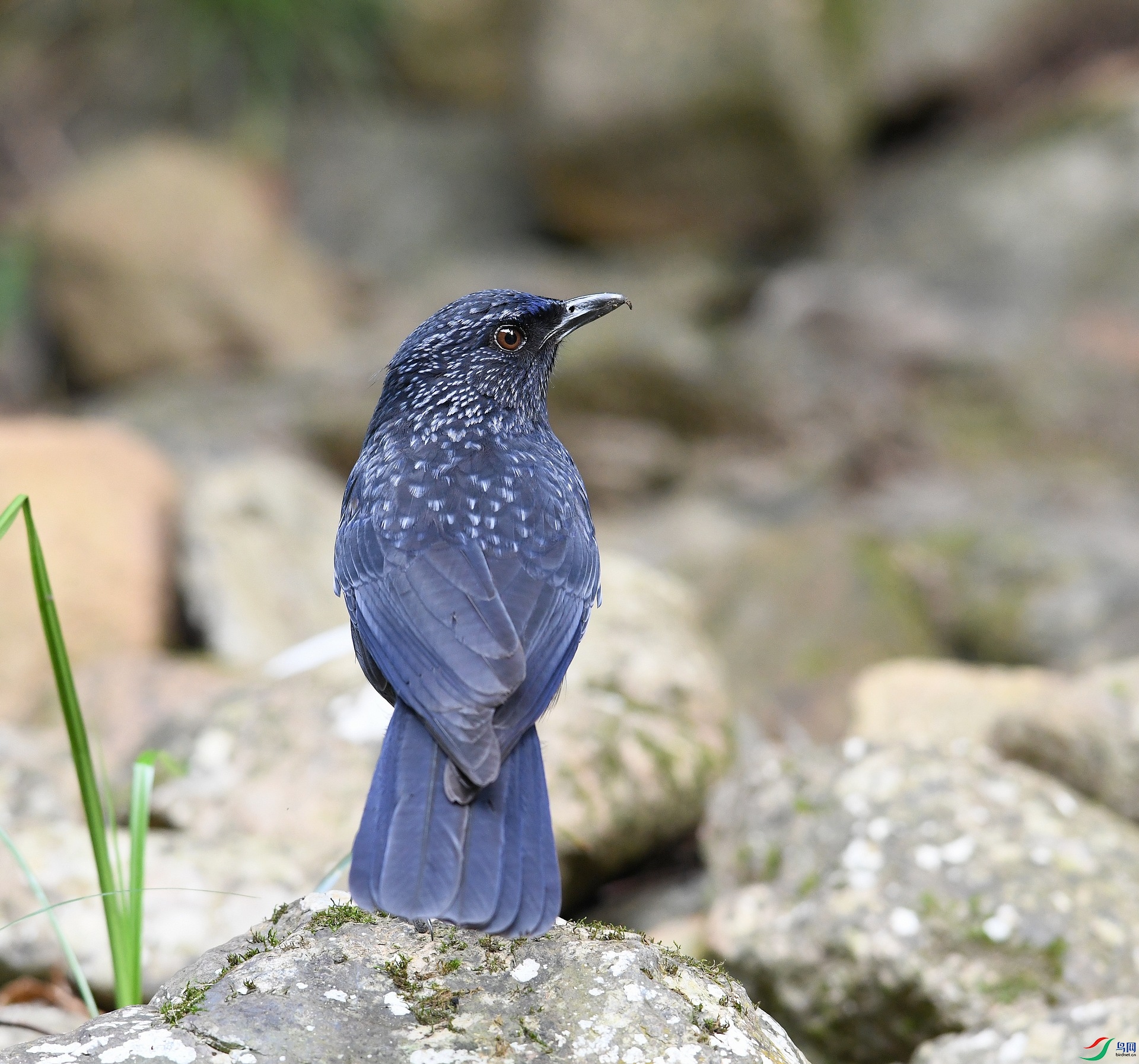 DSC_5767.jpg