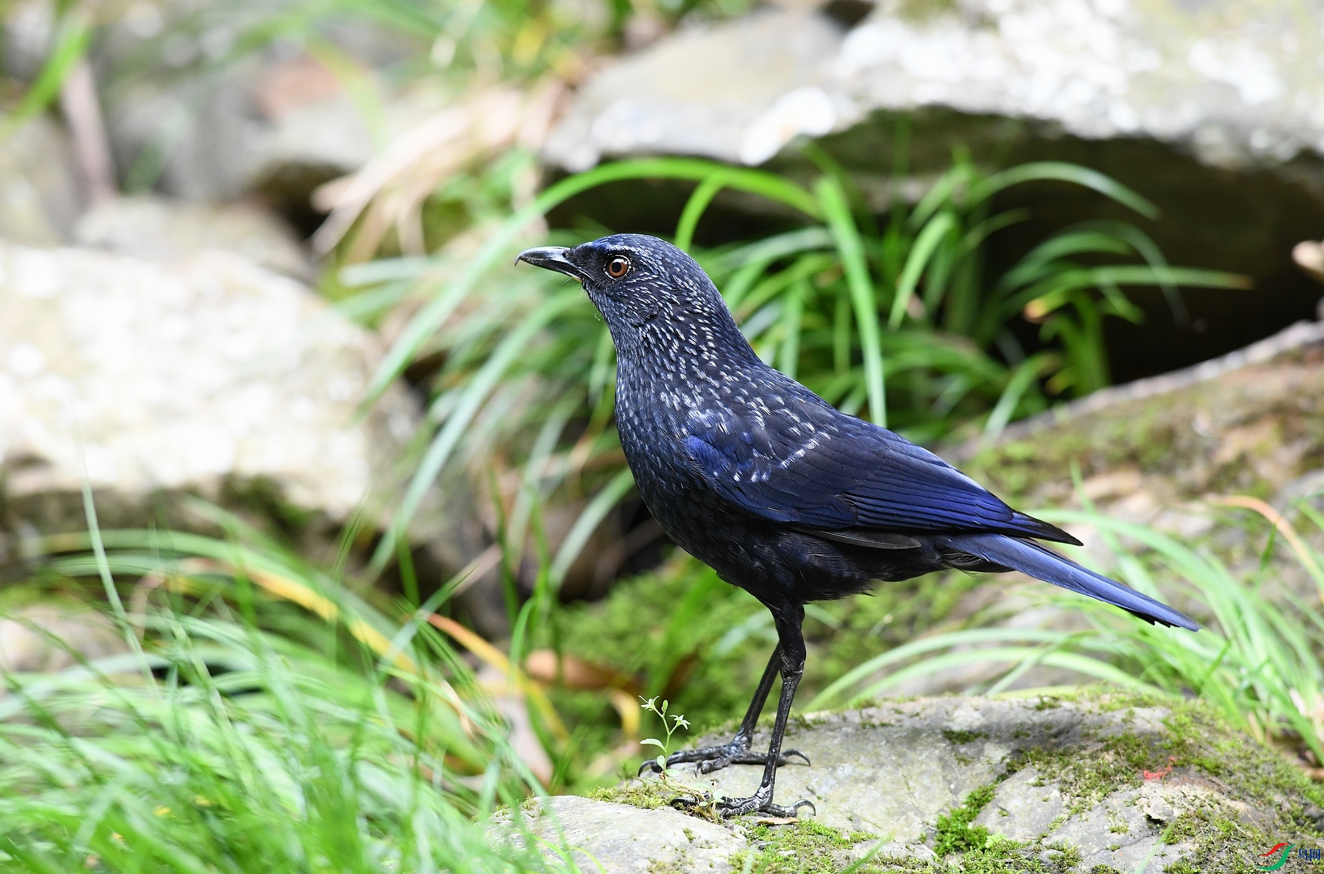 DSC_5730.jpg