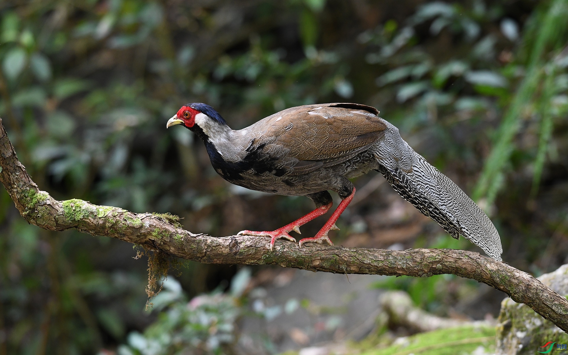 DSC_5562.jpg