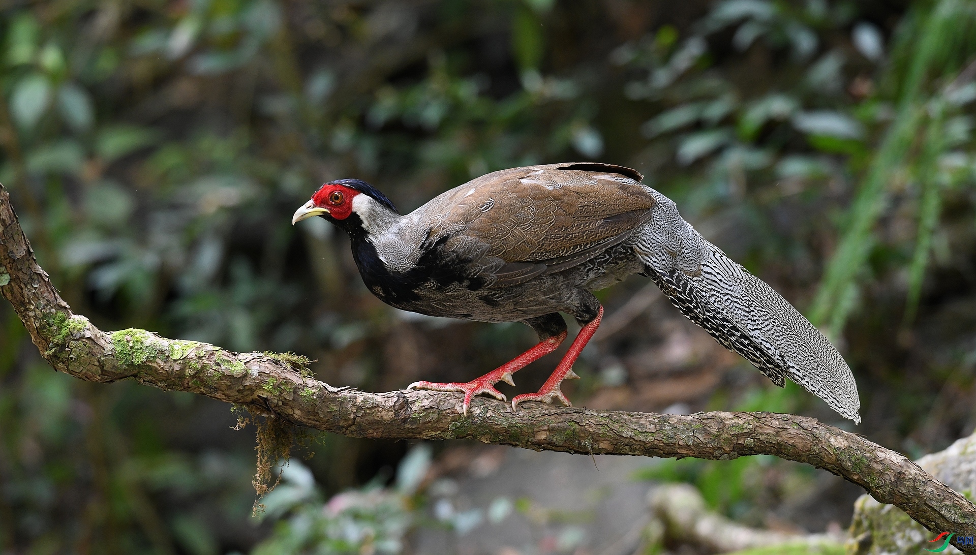 DSC_5563.jpg