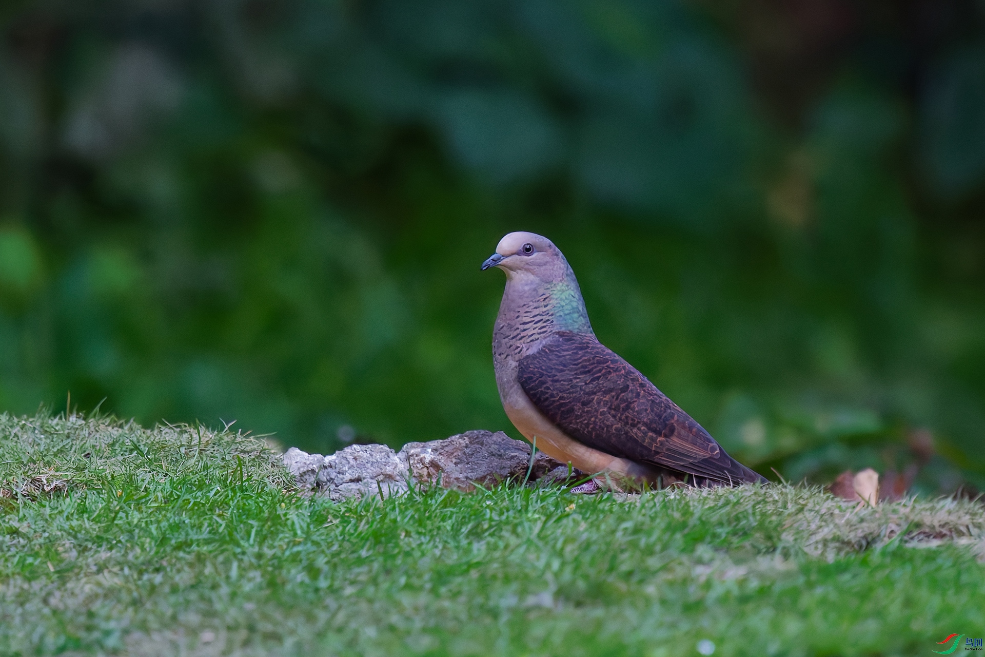 3DSC_9052_DxO_DxOa.jpg