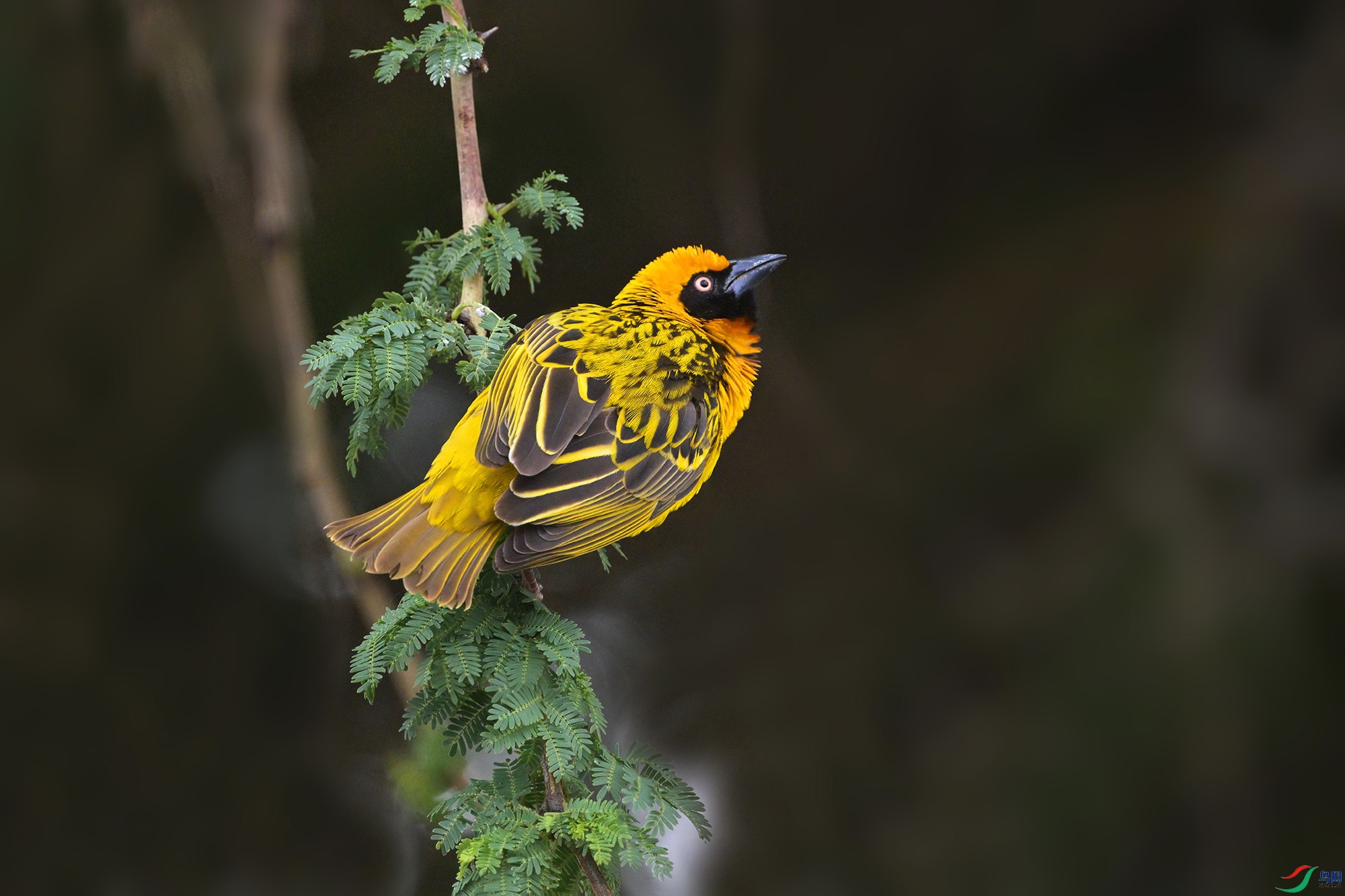 DSC_7690_.jpg