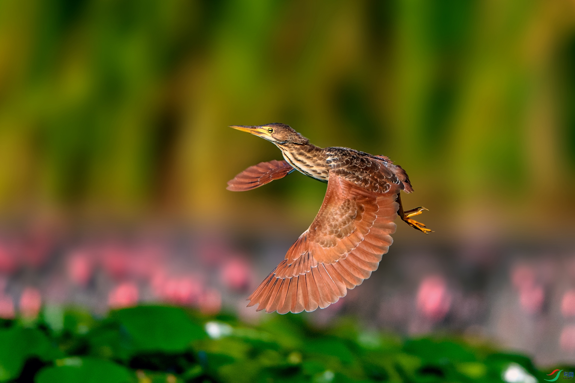 _AUU8856���(24.8.9).jpg