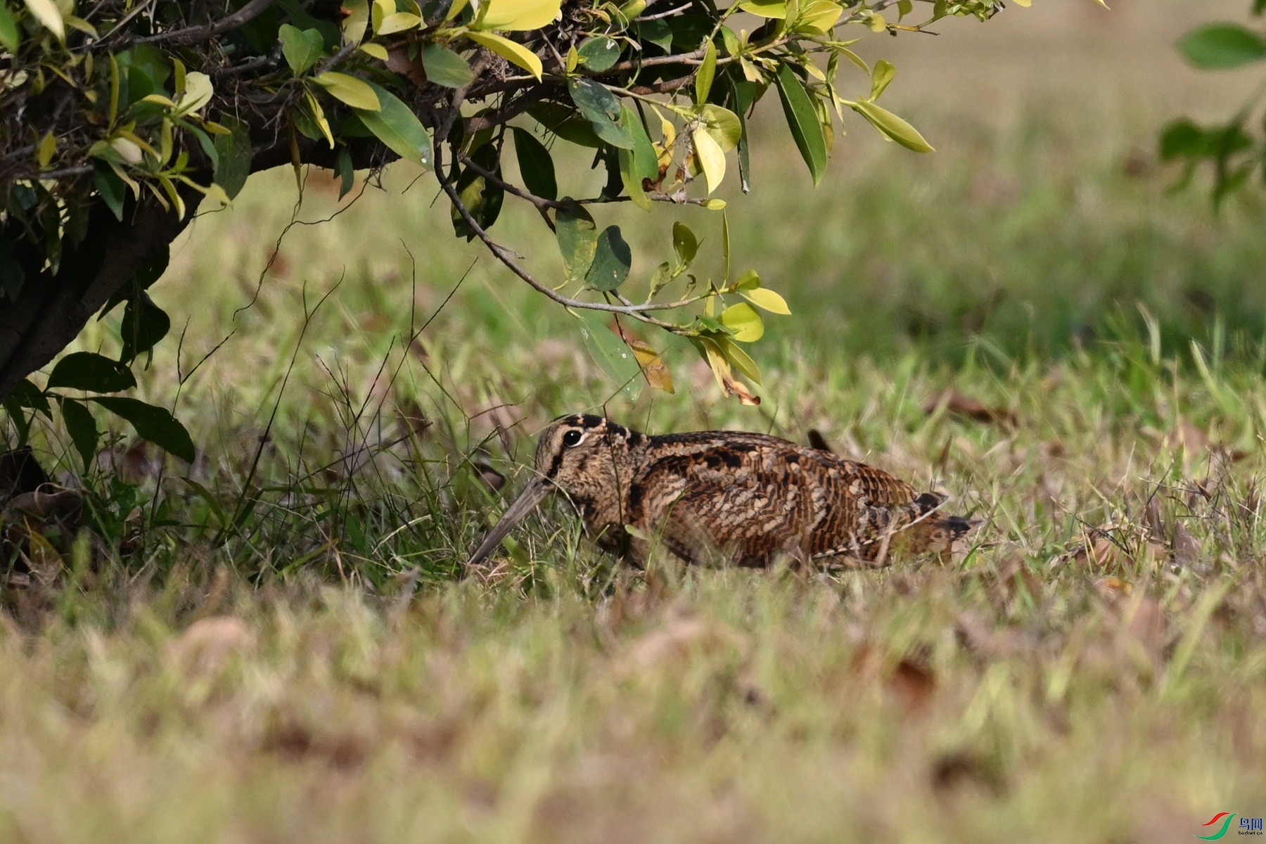 DSC_8399.JPG