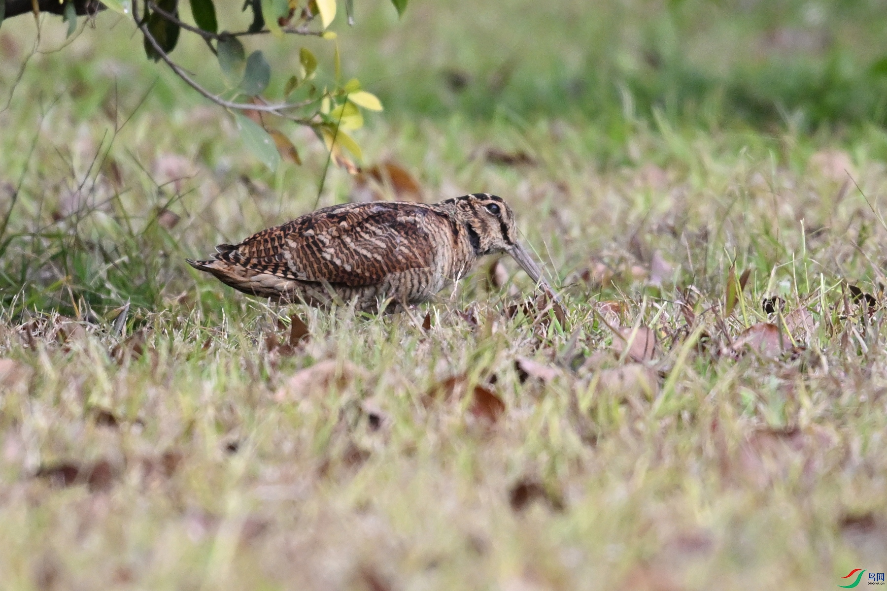 DSC_8415.JPG