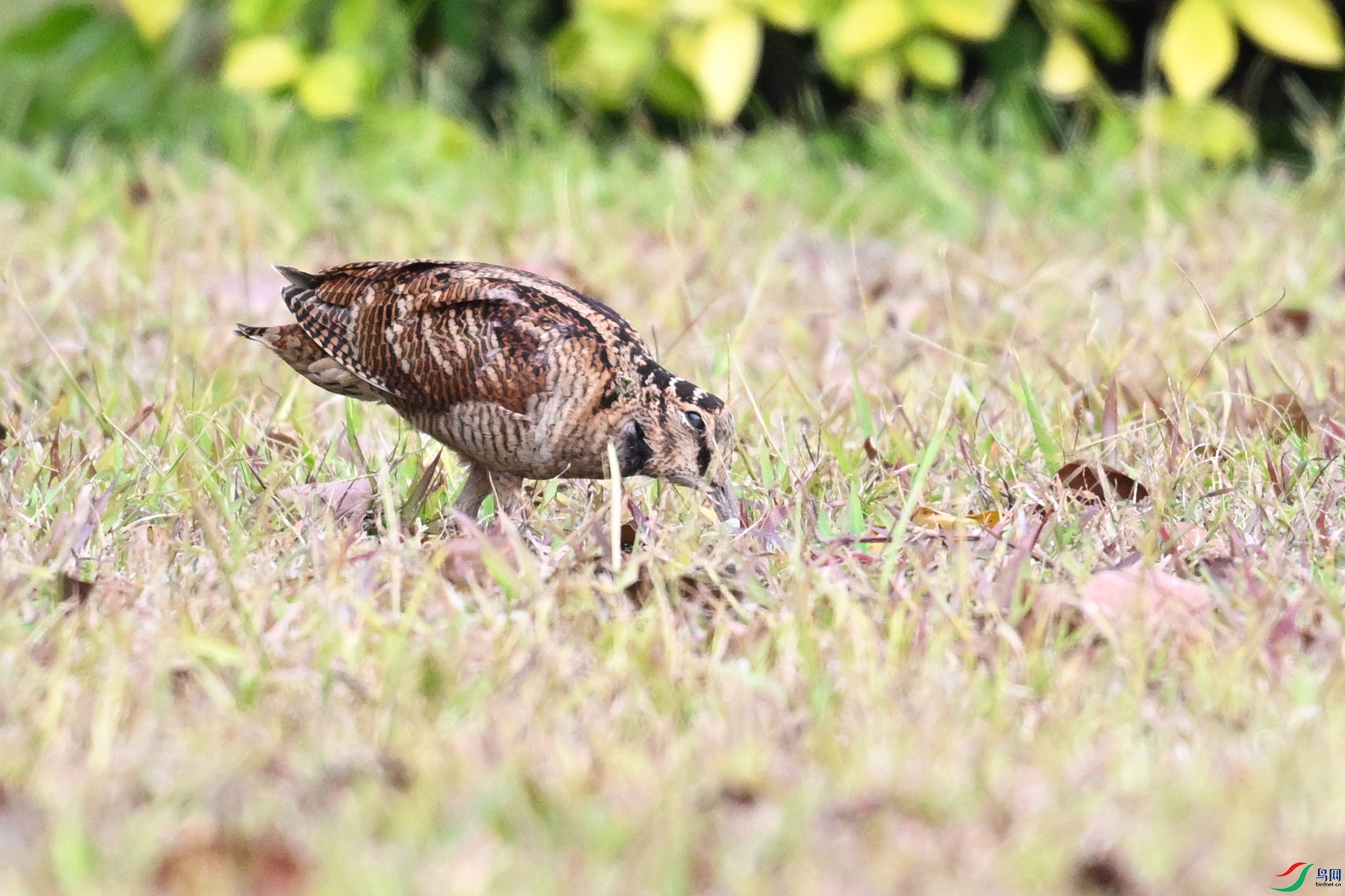 DSC_8429.JPG