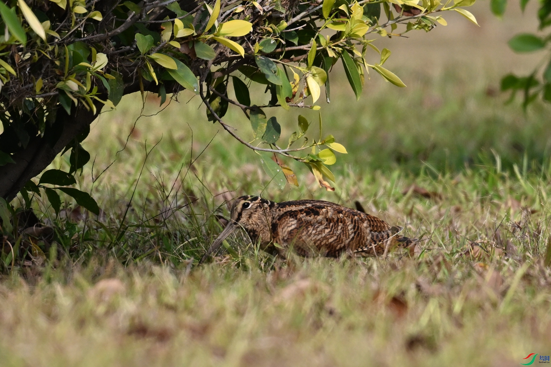 DSC_8401.JPG
