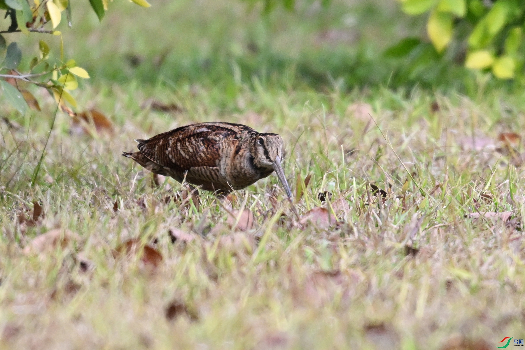 DSC_8418.JPG