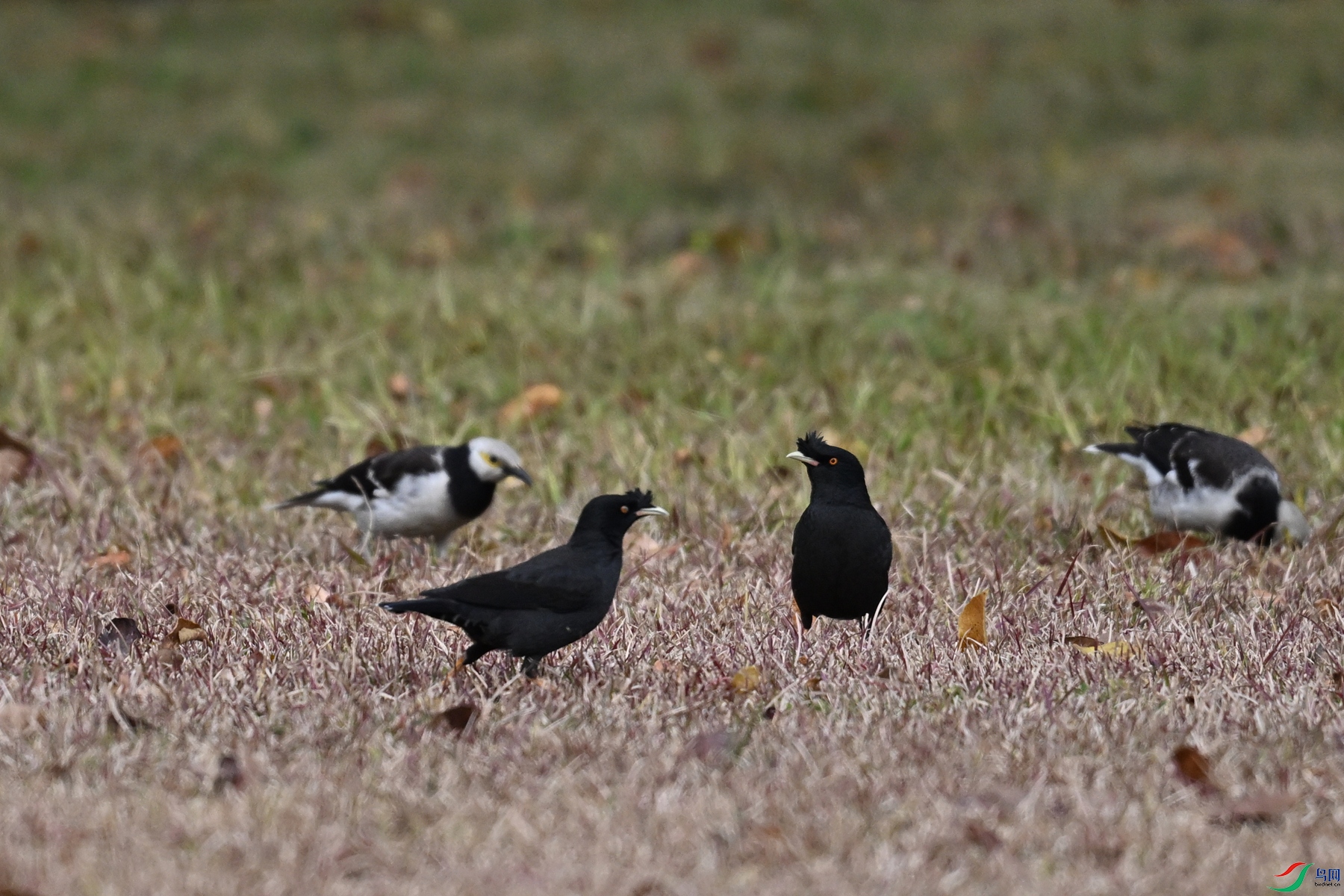 DSC_8402.JPG