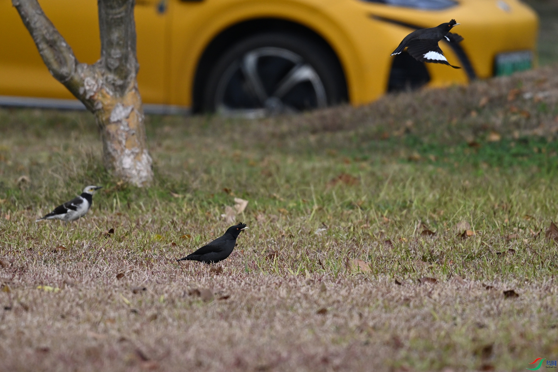 DSC_8404.JPG