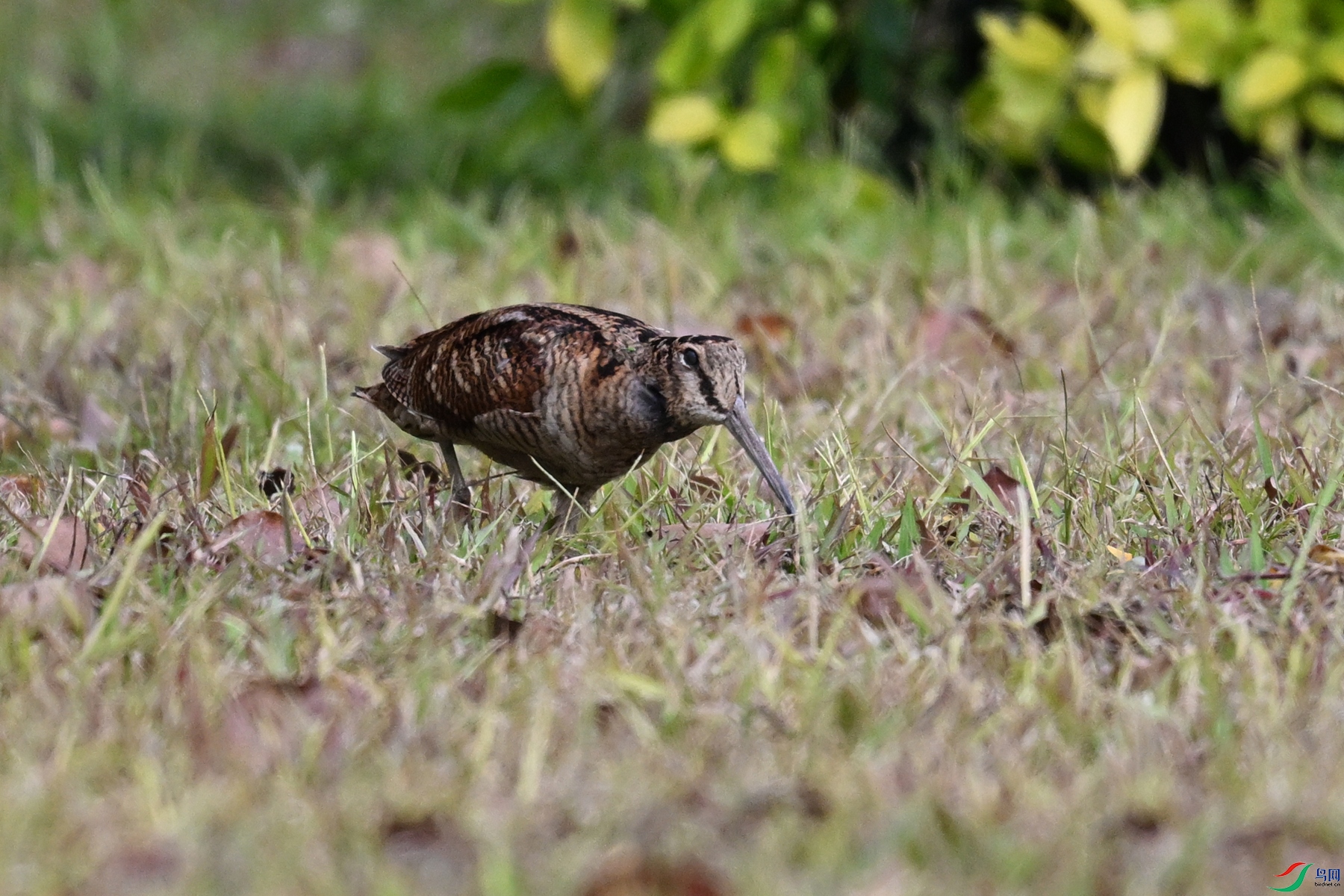 DSC_8422.JPG