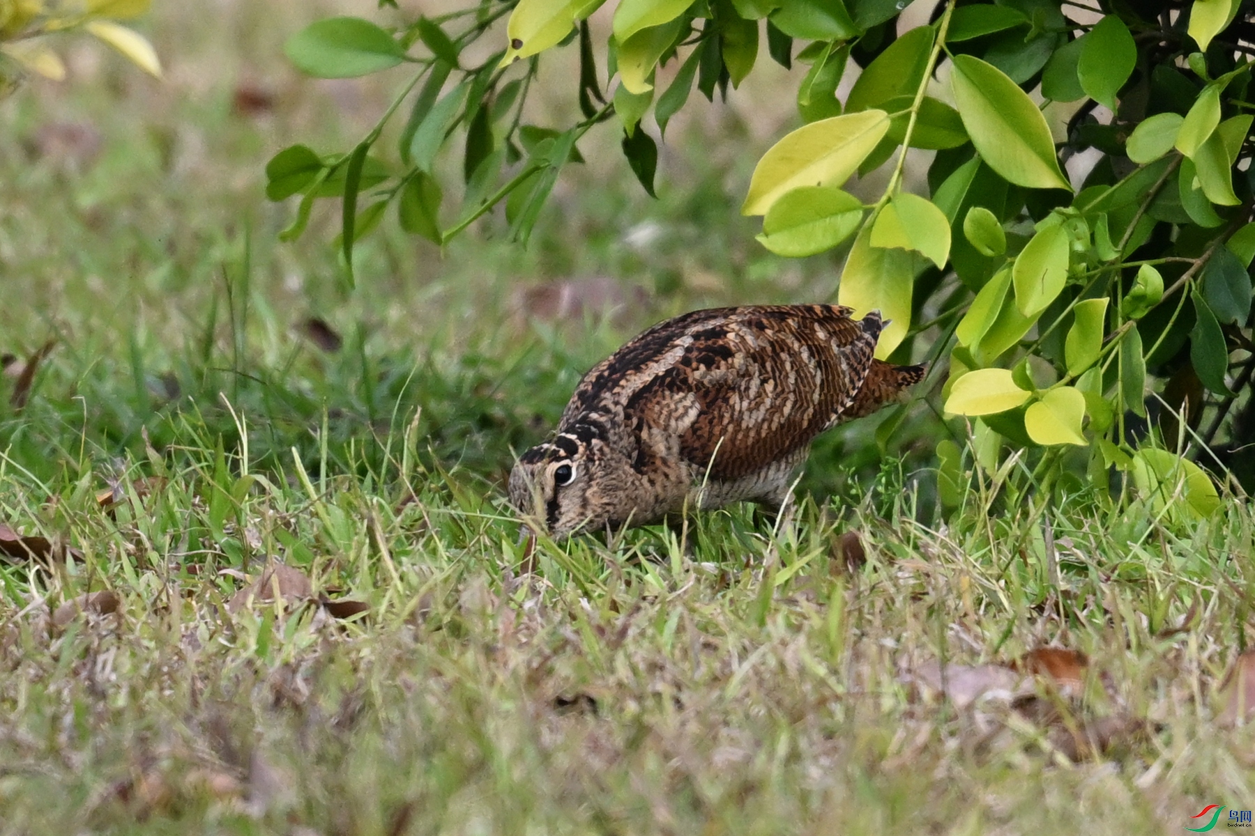 DSC_8369.JPG