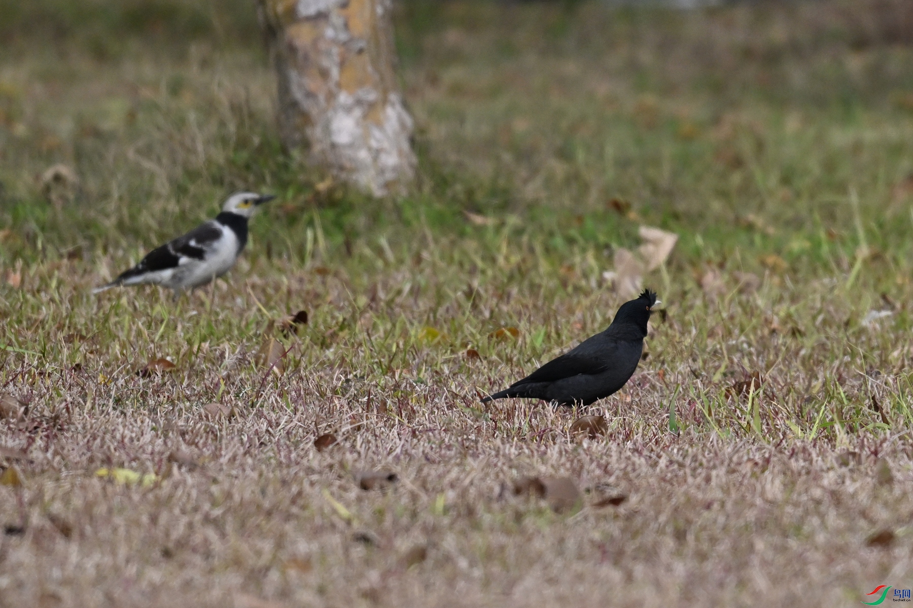 DSC_8406.JPG
