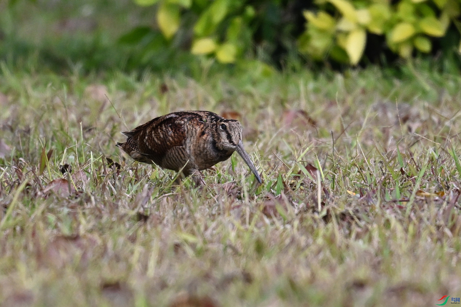 DSC_8425.JPG