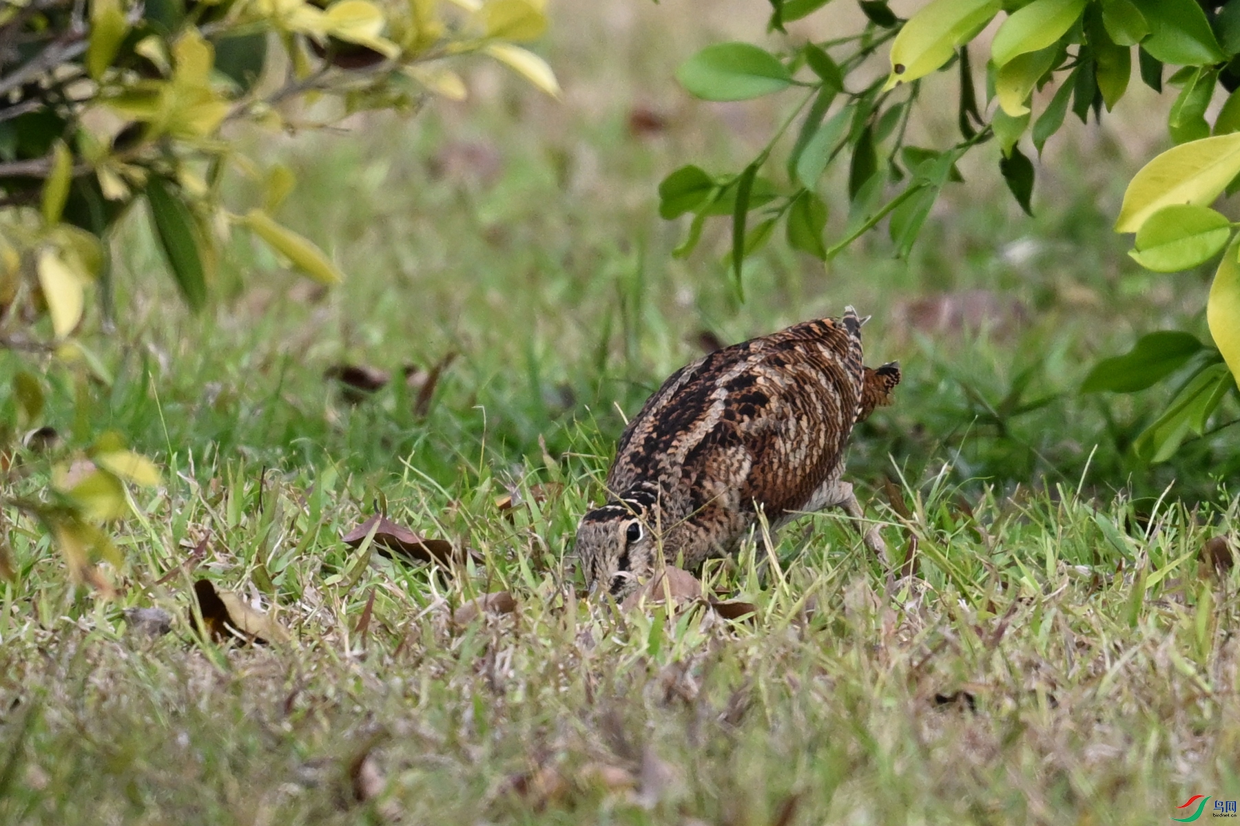 DSC_8372.JPG