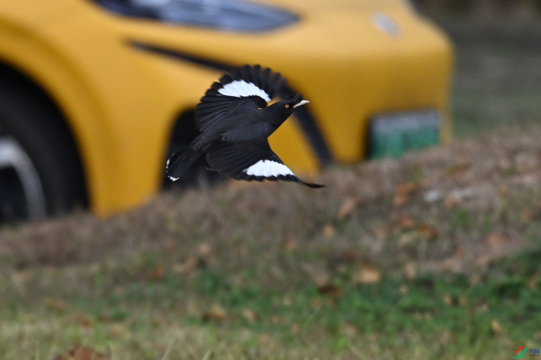 DSC_8408.JPG