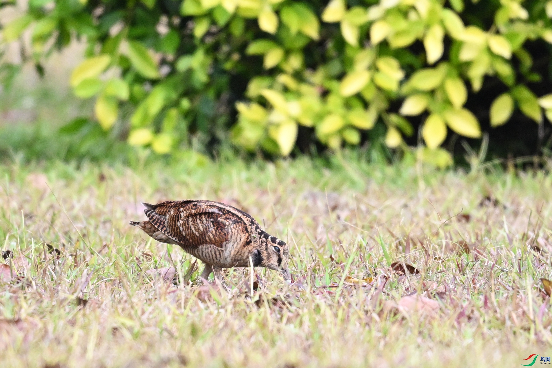 DSC_8430.JPG