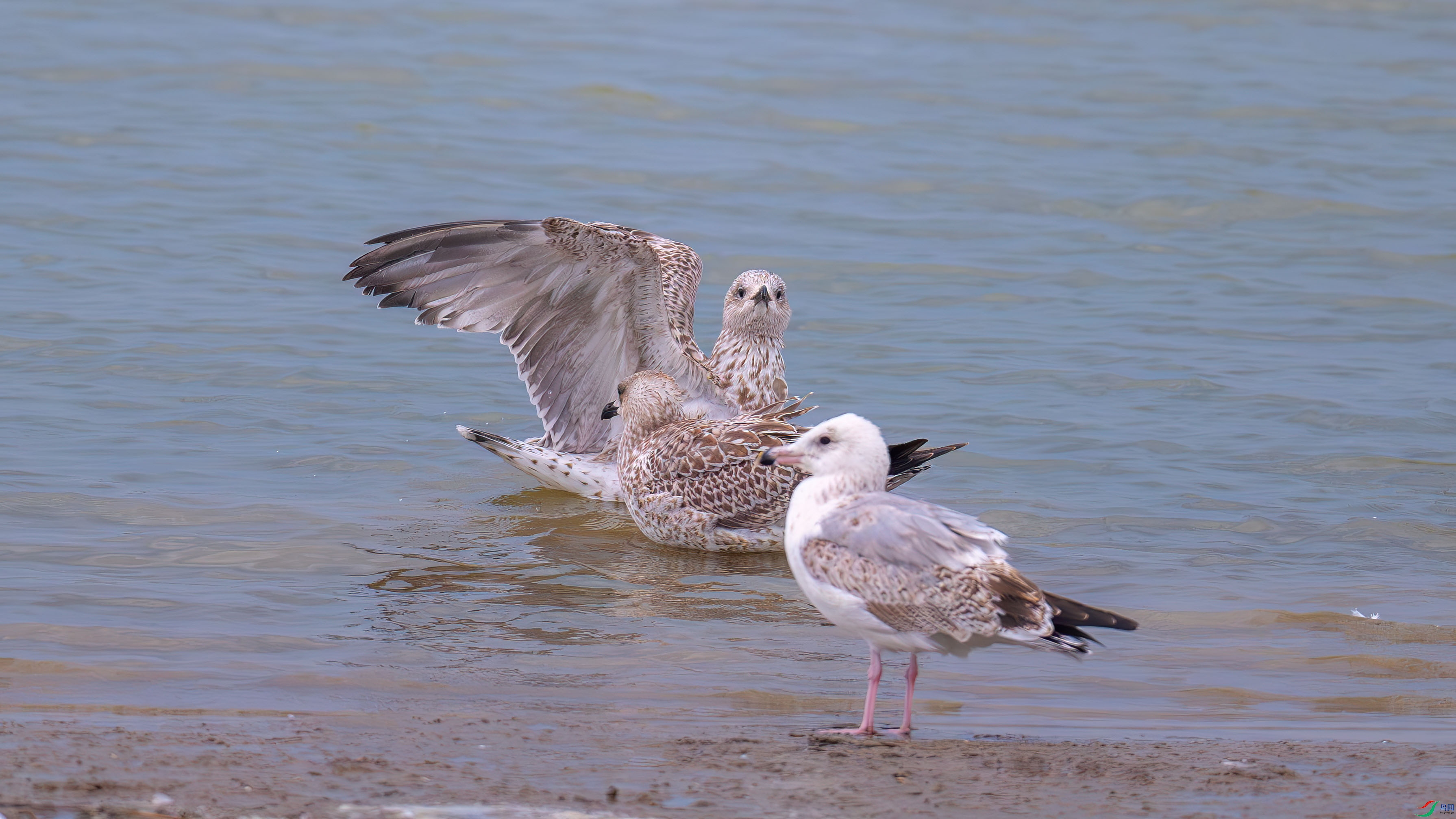 DSC_6176.jpg