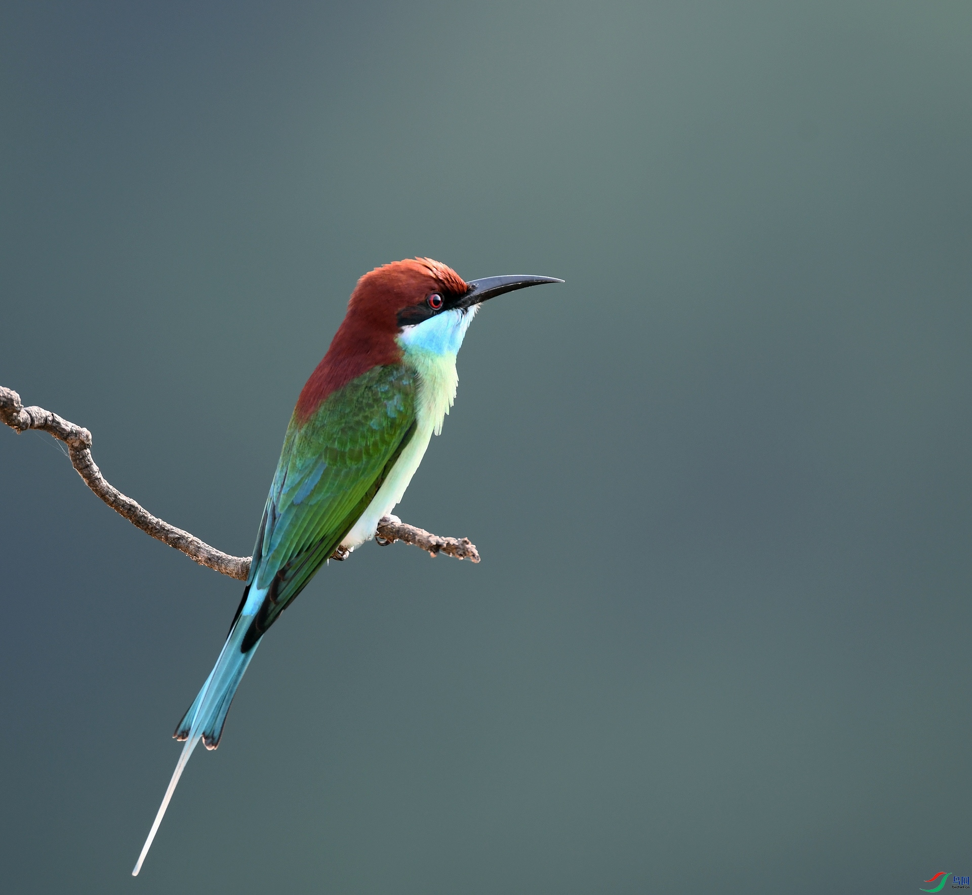 DSC_0429.jpg