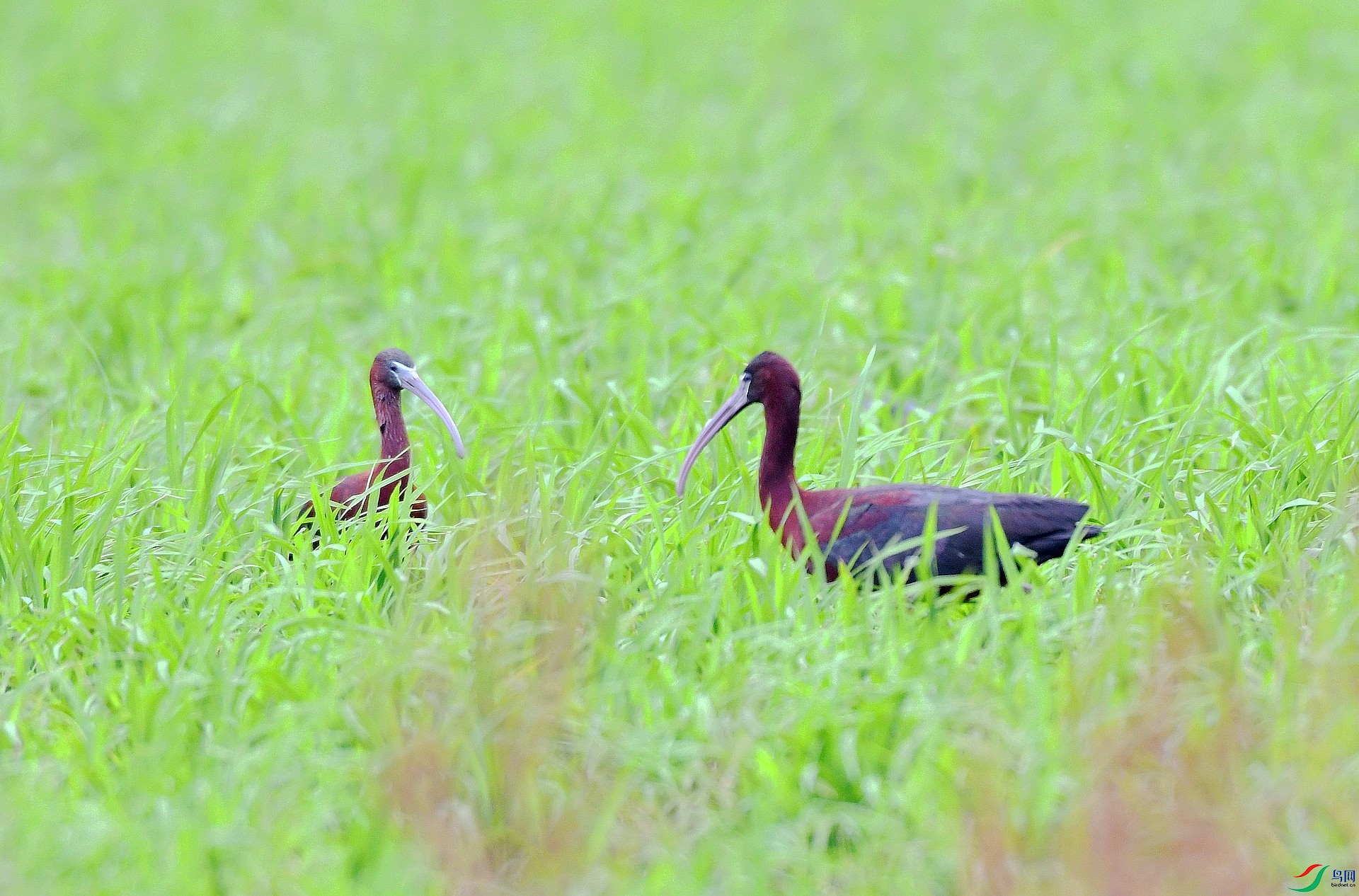 DSC_0216.jpg