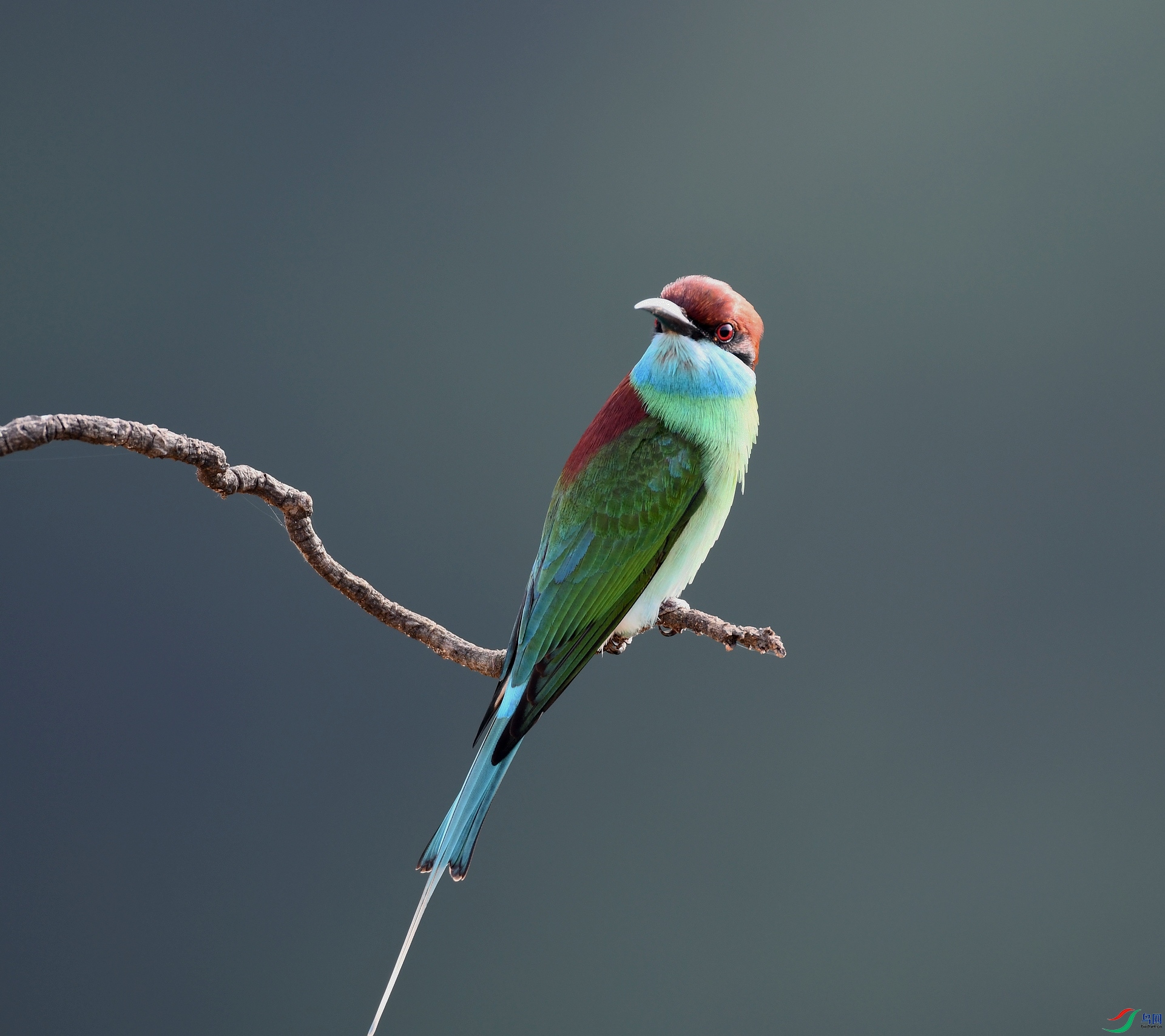 DSC_0431.jpg