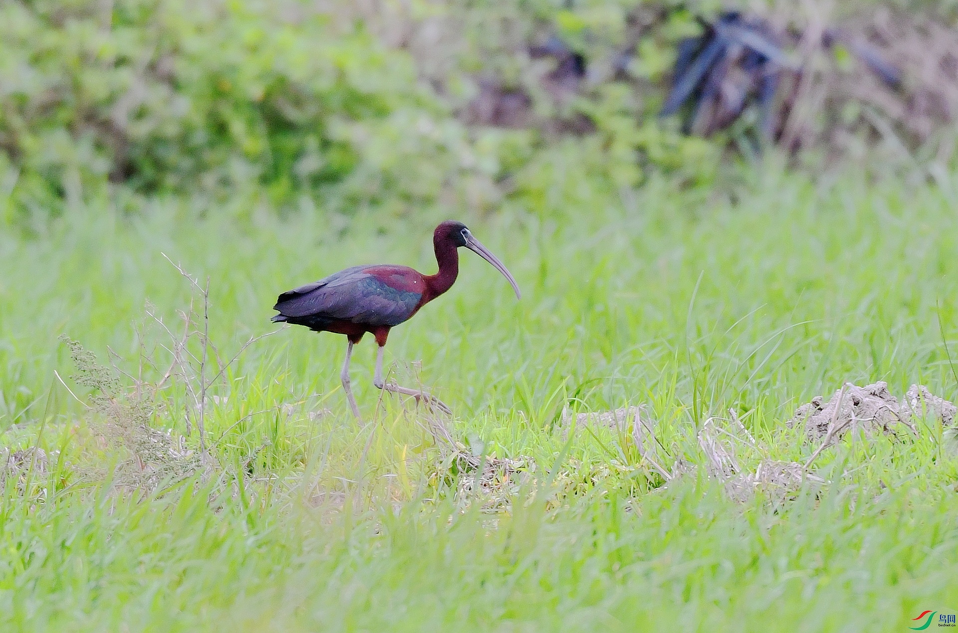 DSC_0258.jpg